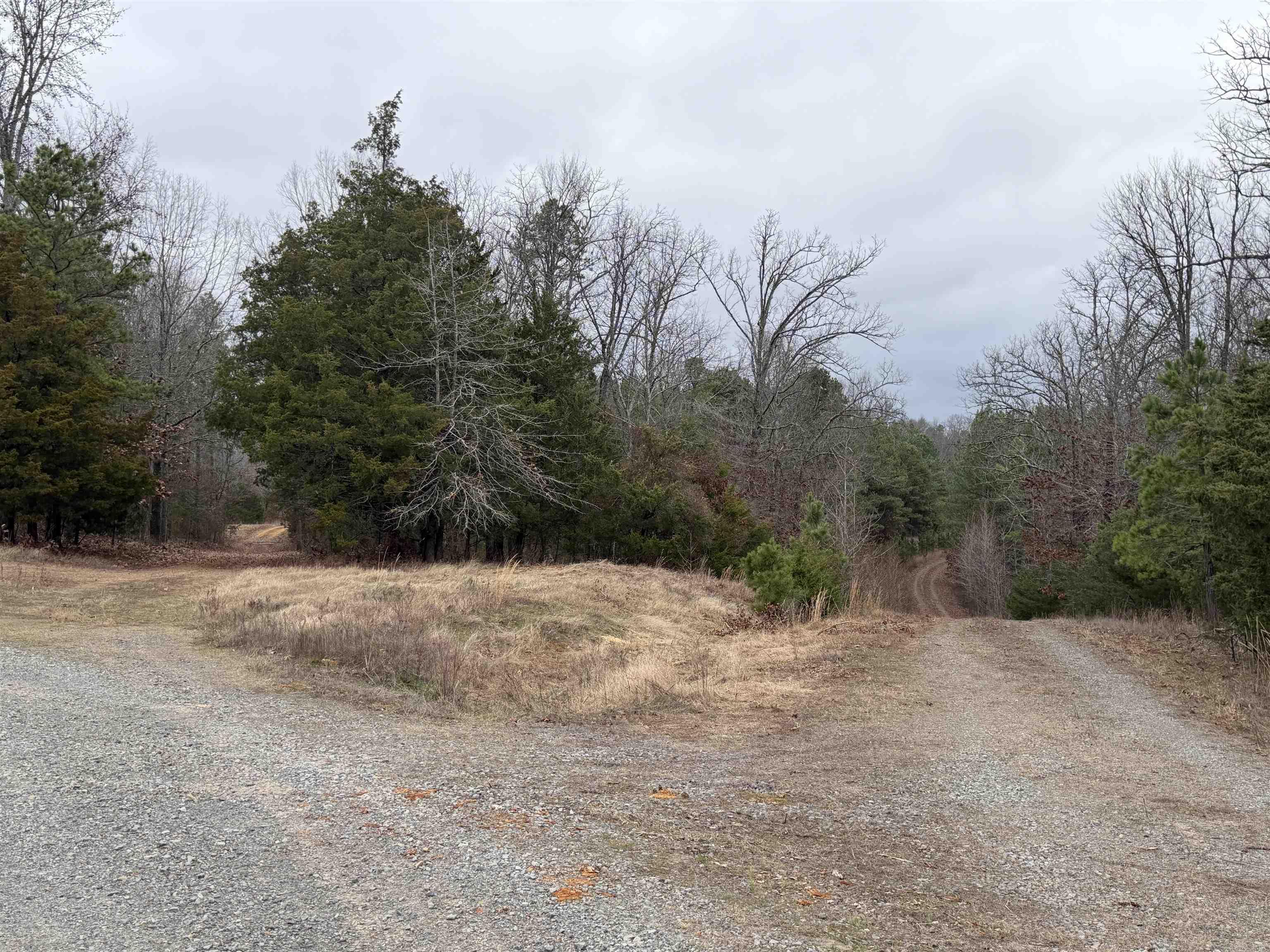 255 Sweet Gum Hollow  Rose Bud, AR