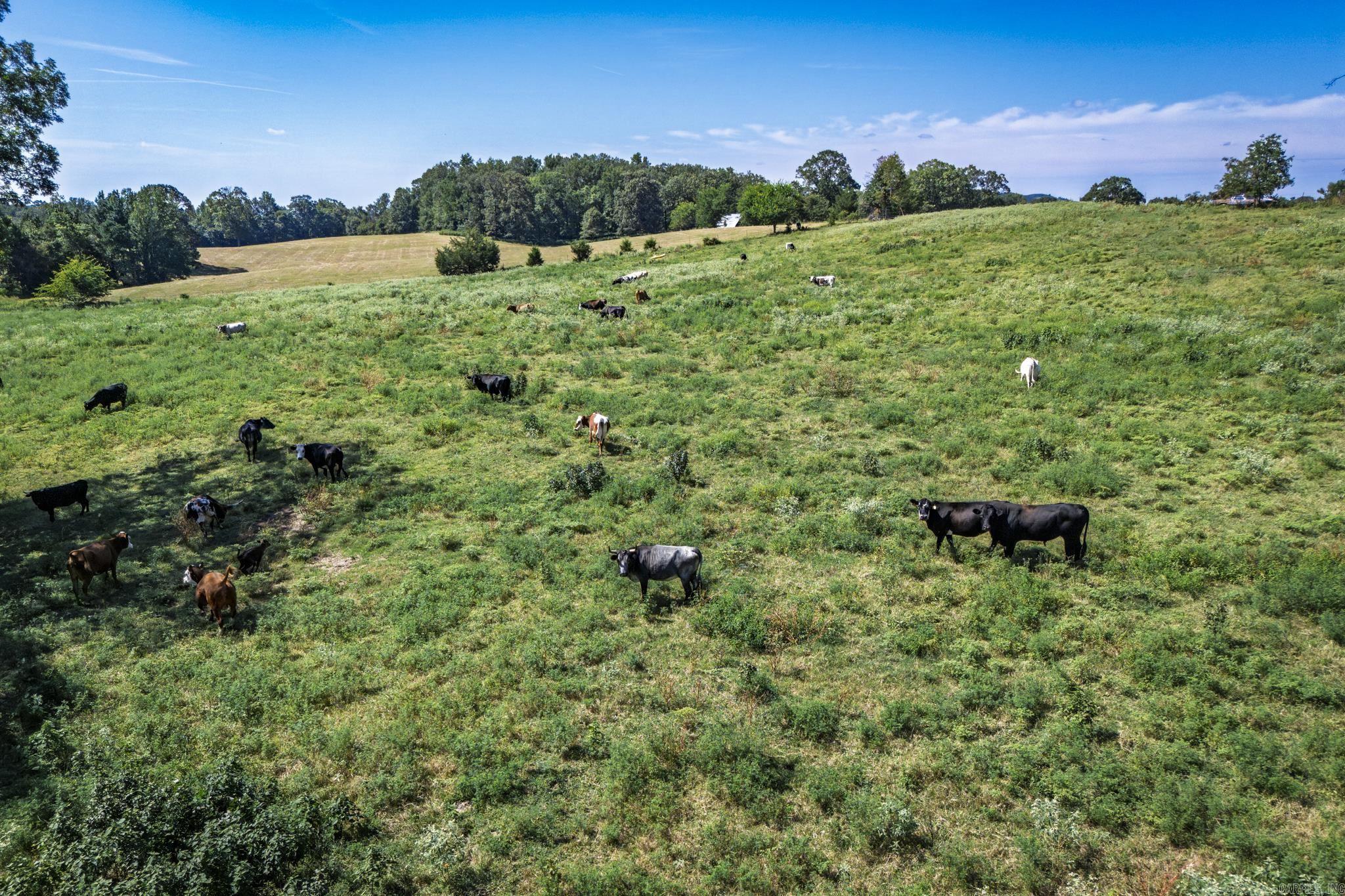 27 Duggan  Glenwood, AR