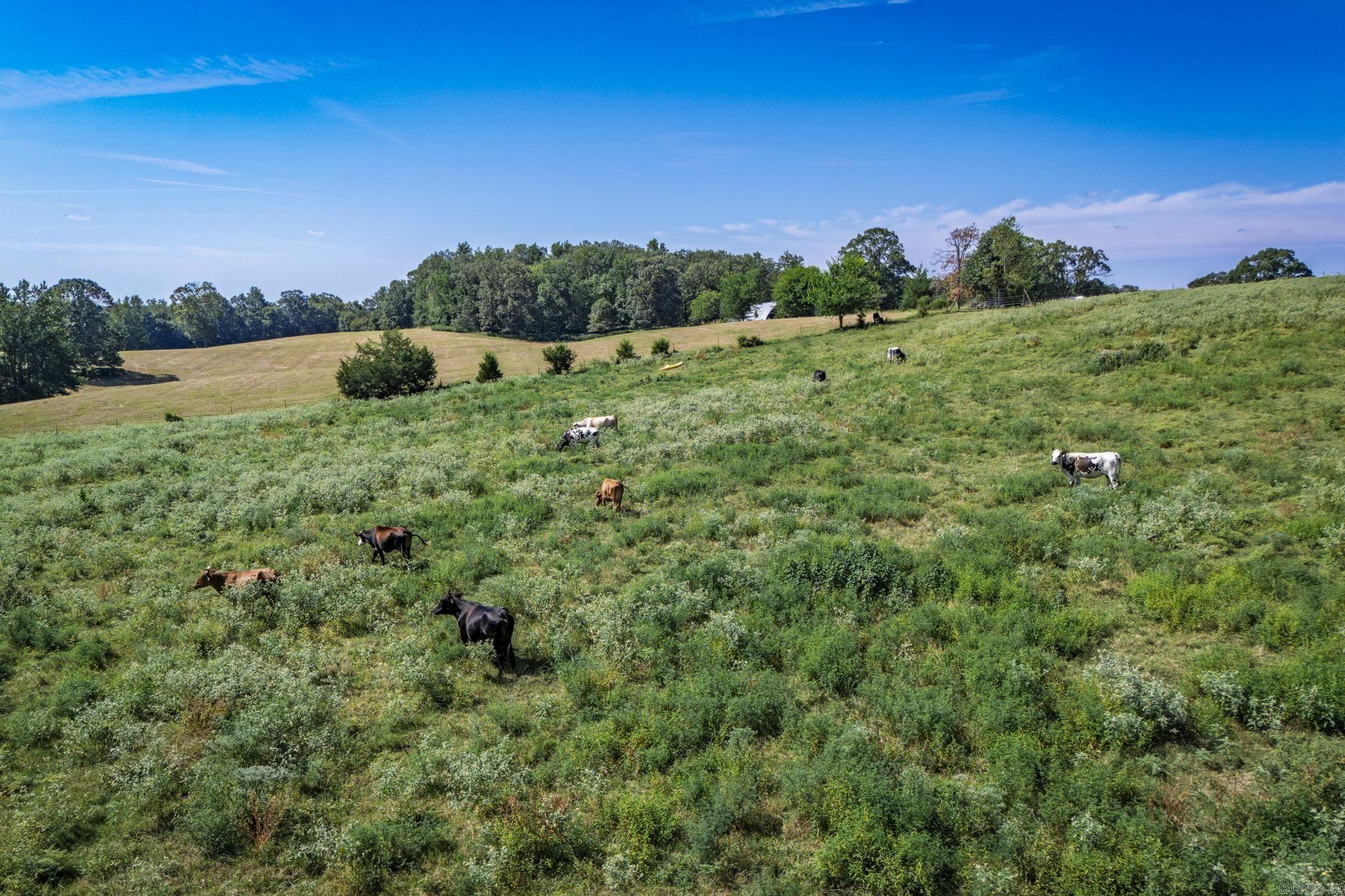 27 Duggan  Glenwood, AR