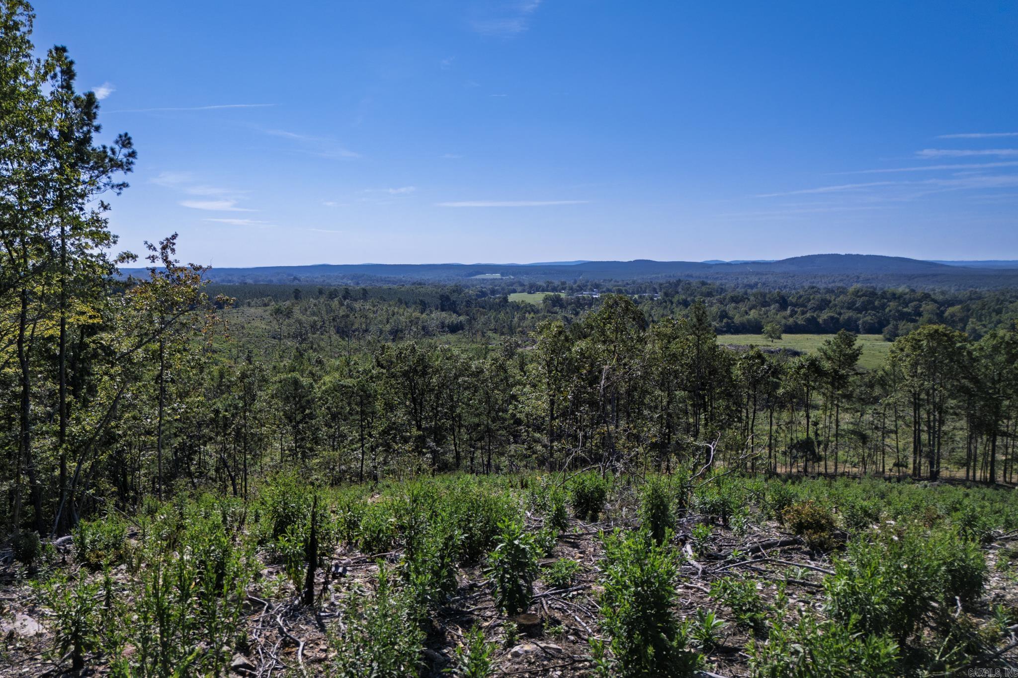 27 Duggan  Glenwood, AR