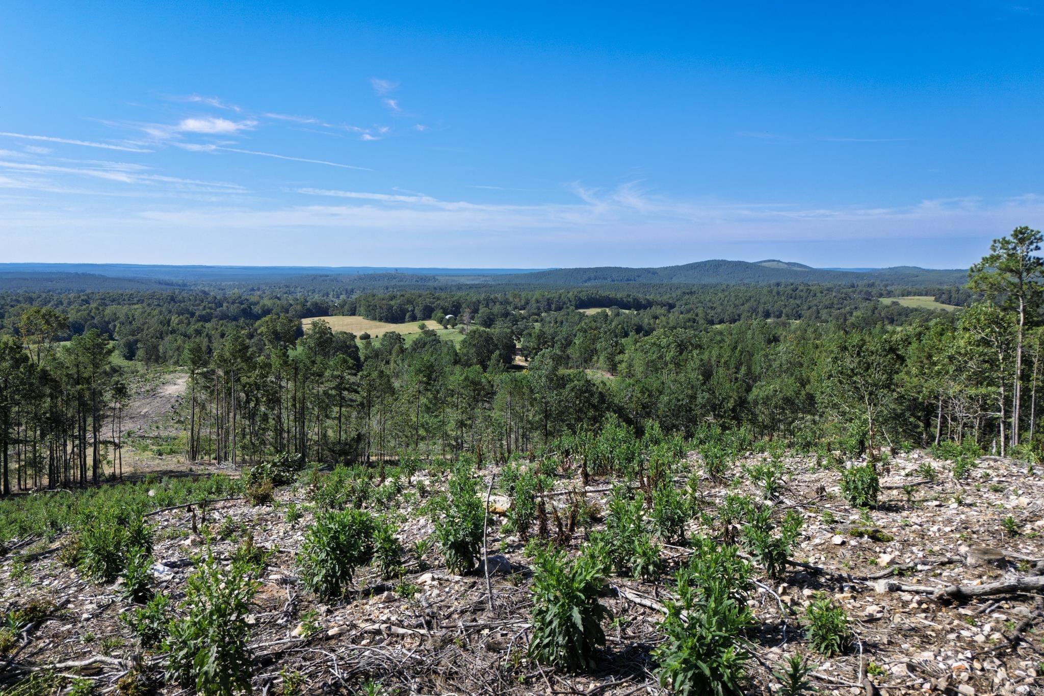 27 Duggan  Glenwood, AR