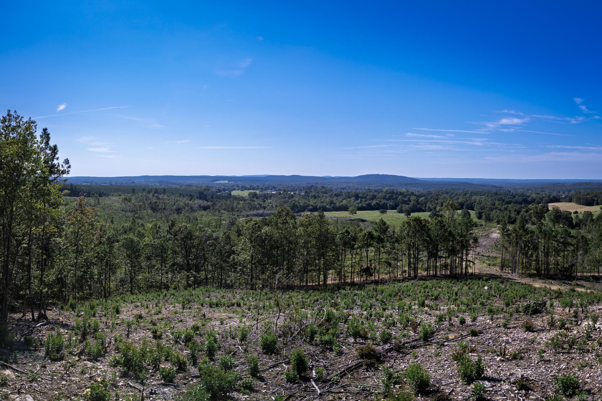 27 Duggan  Glenwood, AR