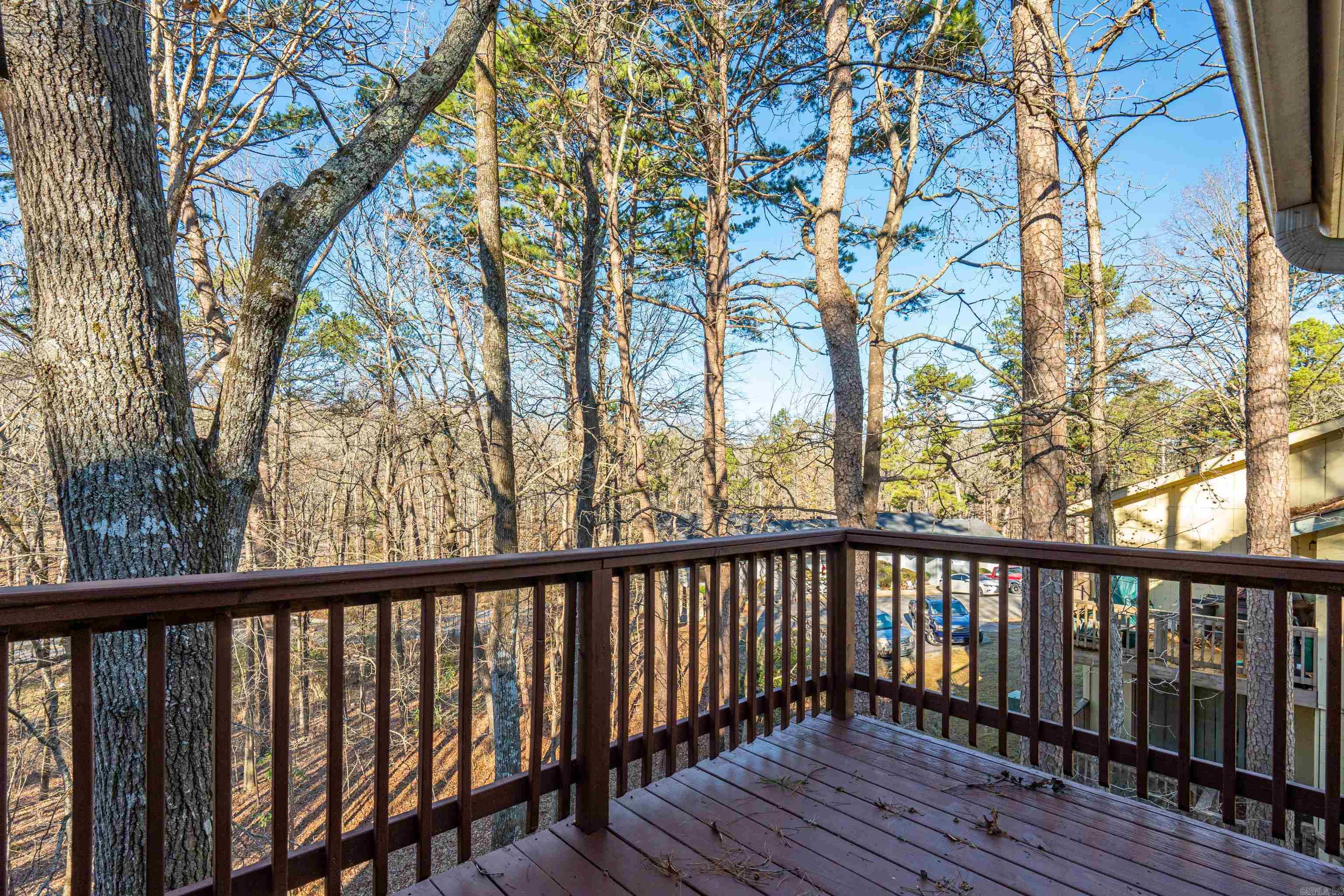 19 Vaqueria  Hot Springs Village, AR