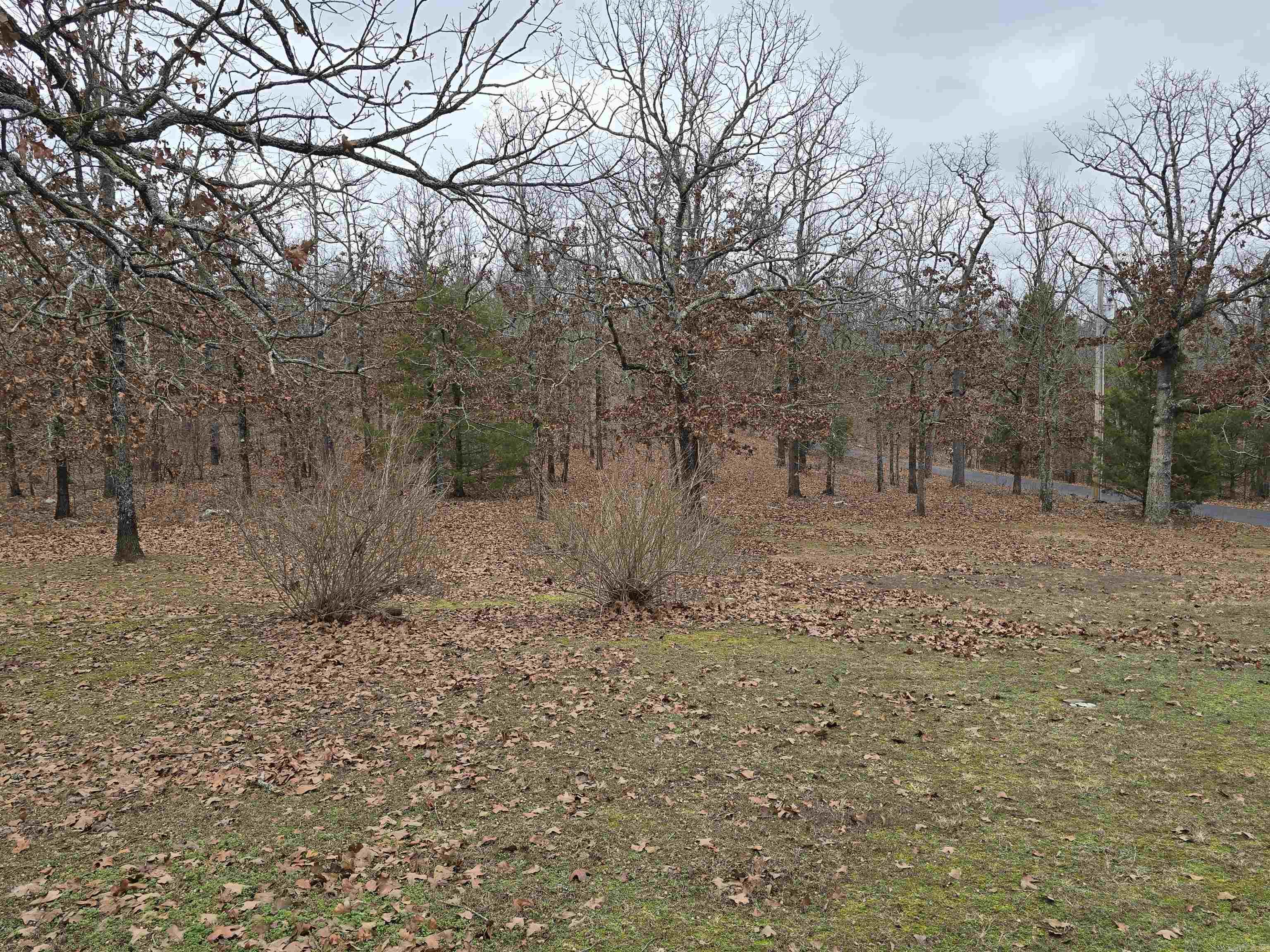 60 Ridge Trail Sherwood, AR 72120