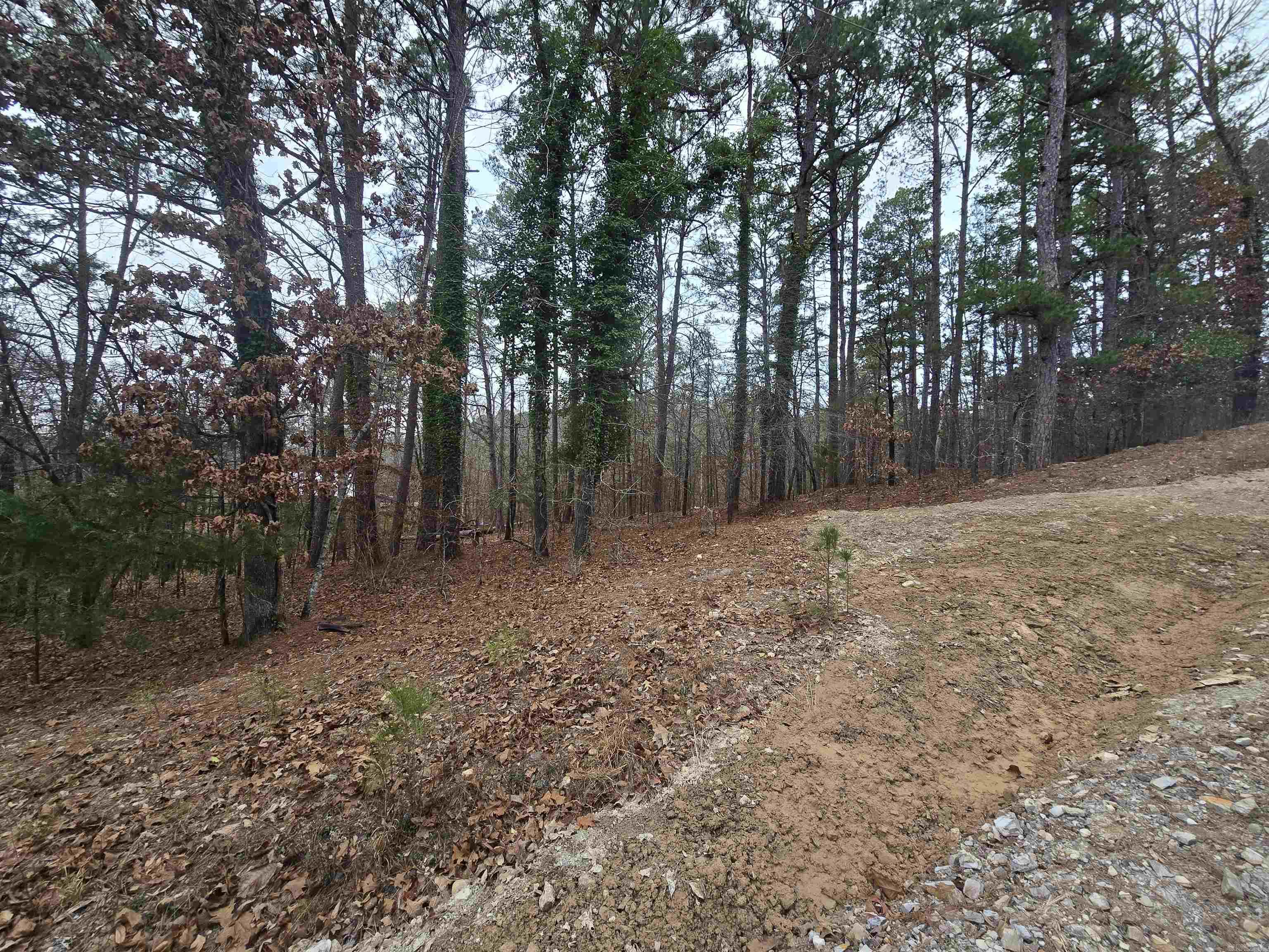 TBD Doubloon  Hot Springs, AR