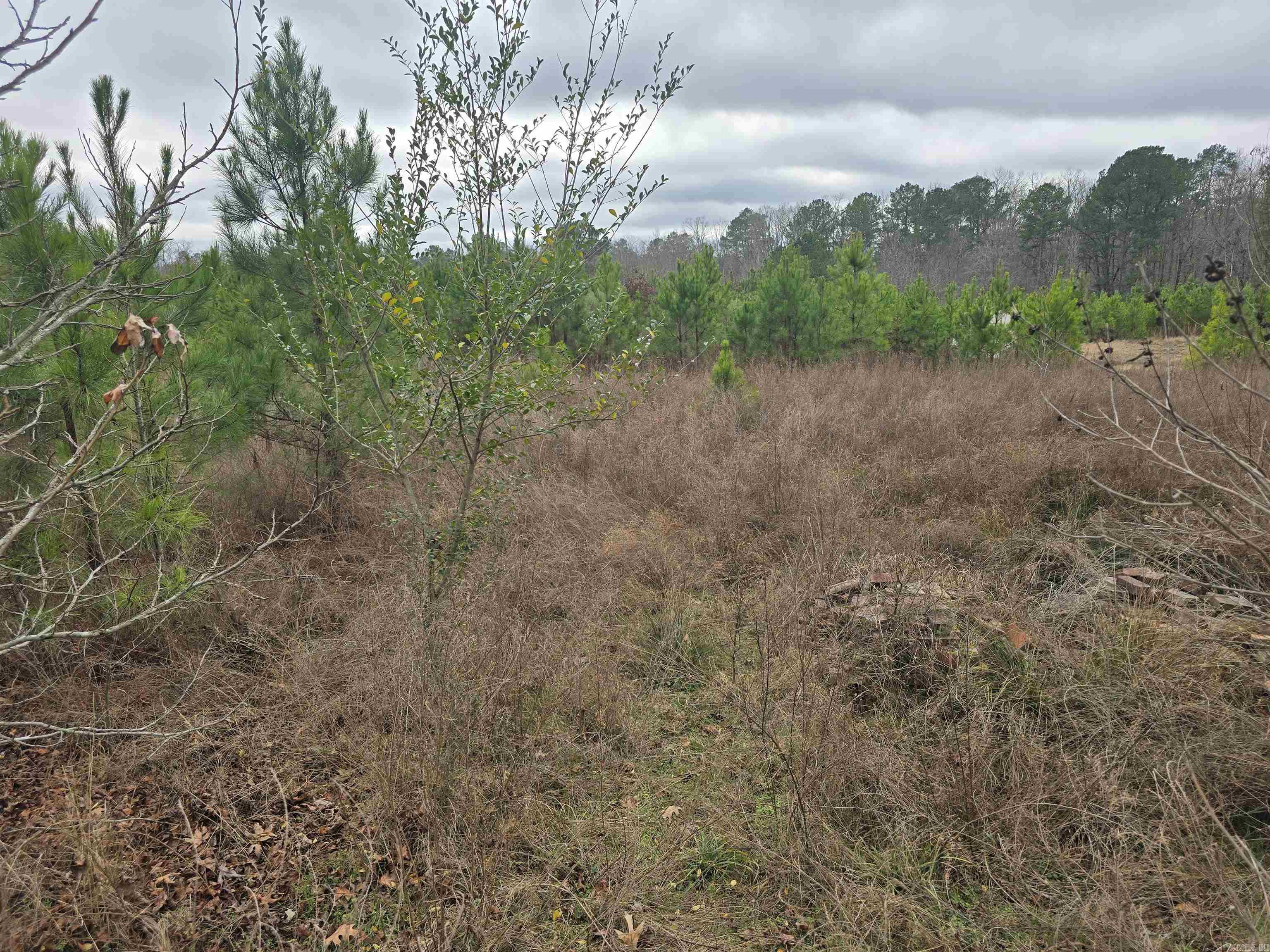 TBD Wilson Lake  Hot Springs, AR