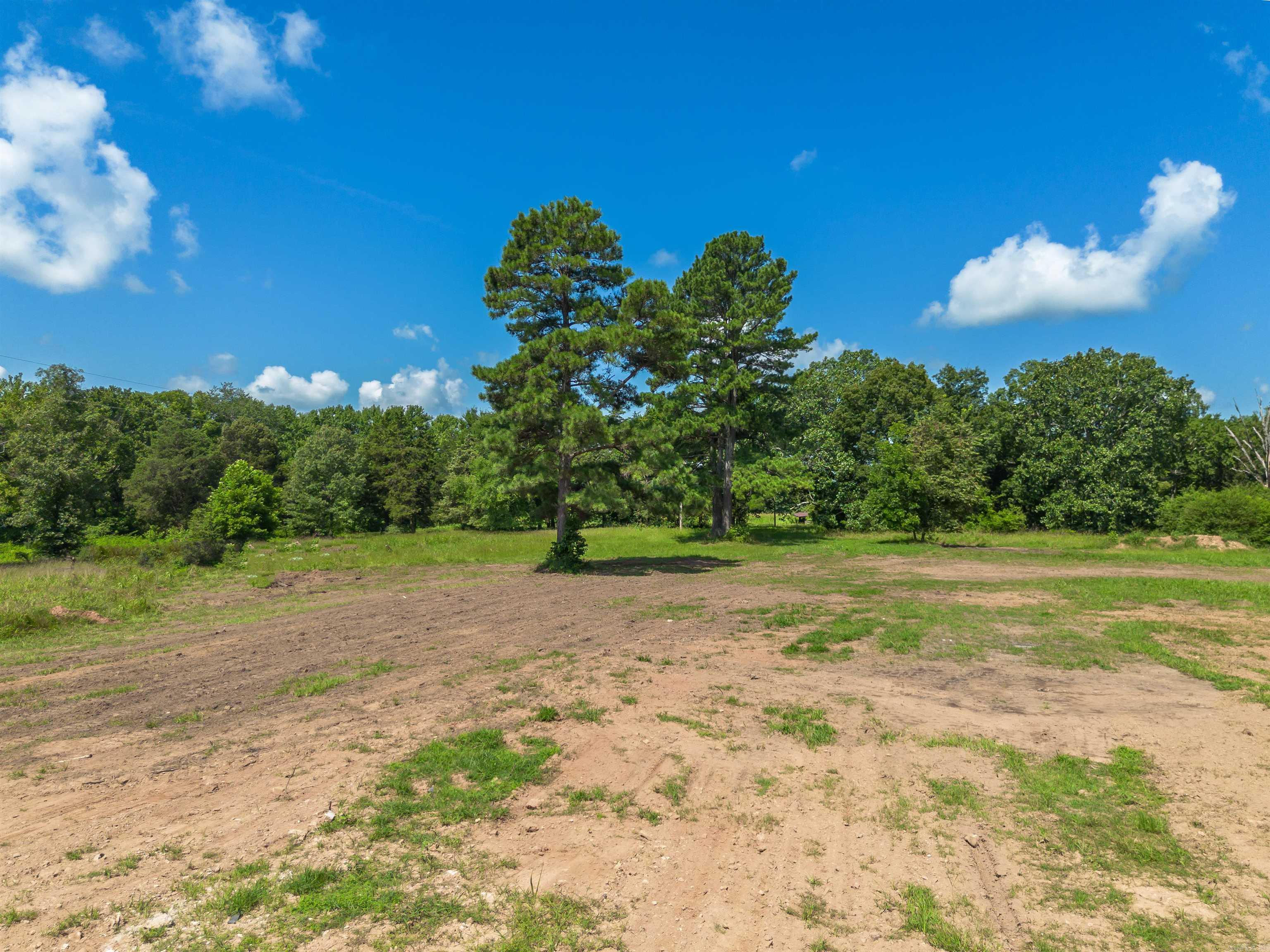 19 Mountain Grove Greenbrier, AR 72058