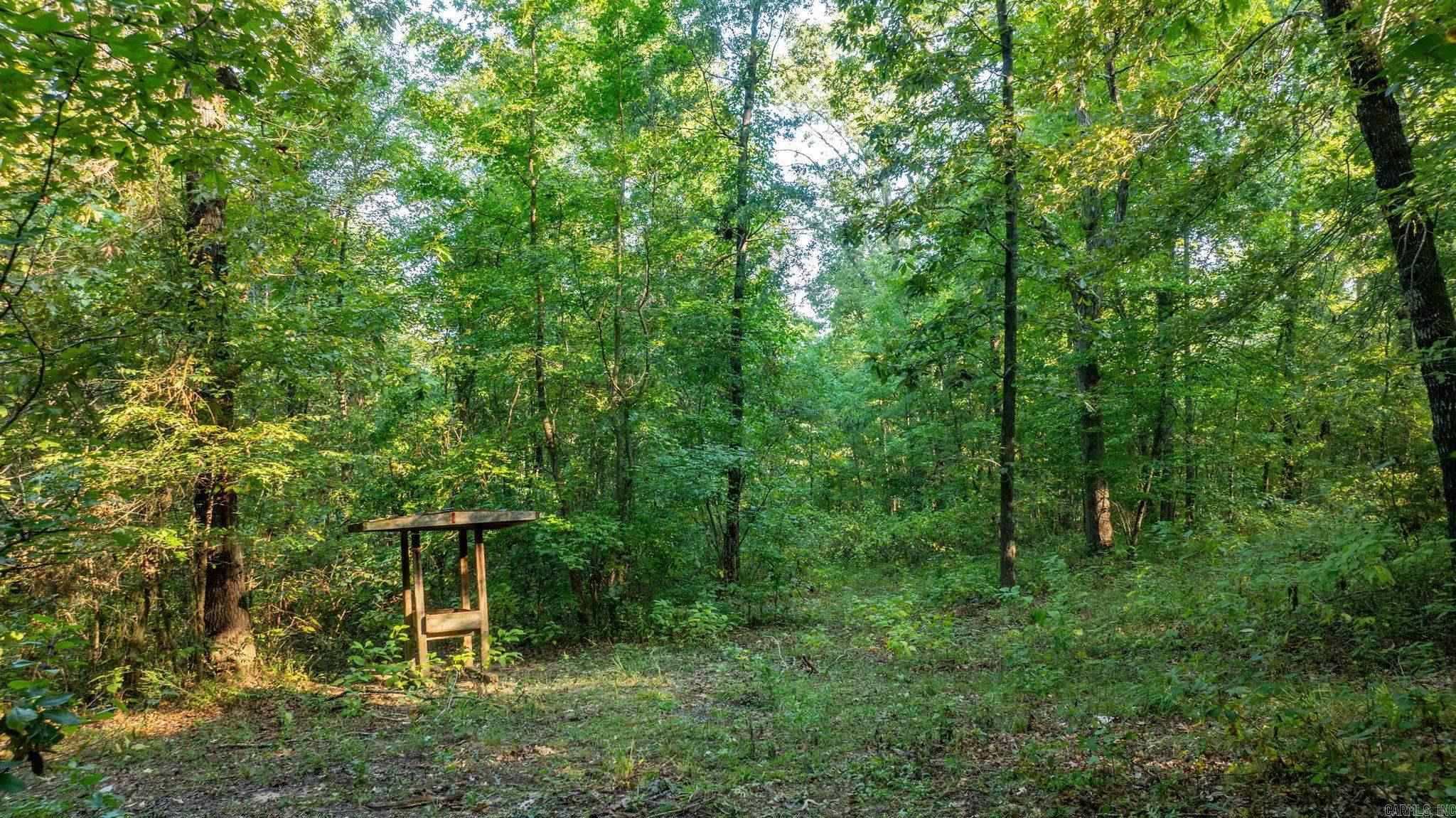 138 Union Road  Greenbrier, AR