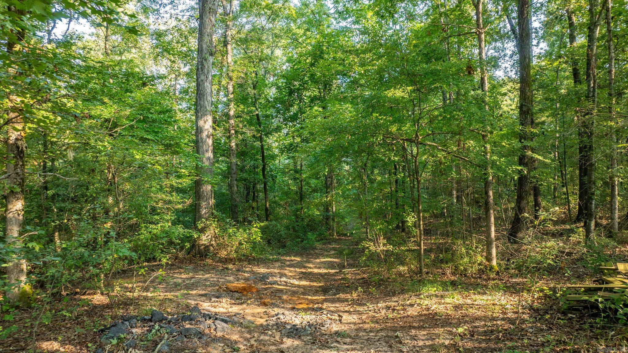 138 Union Road  Greenbrier, AR