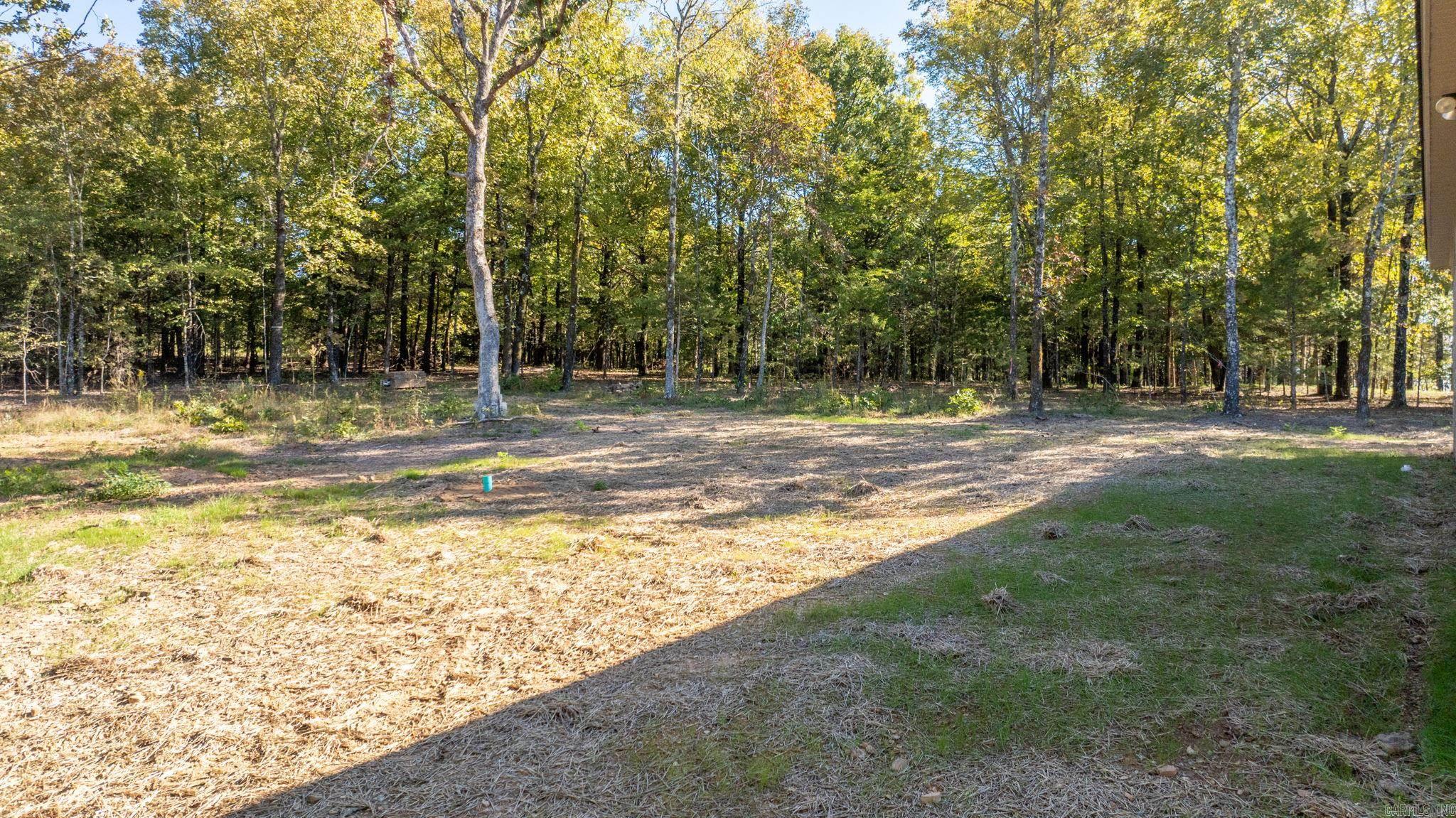 44 Sky Eagle Drive  Greenbrier, AR