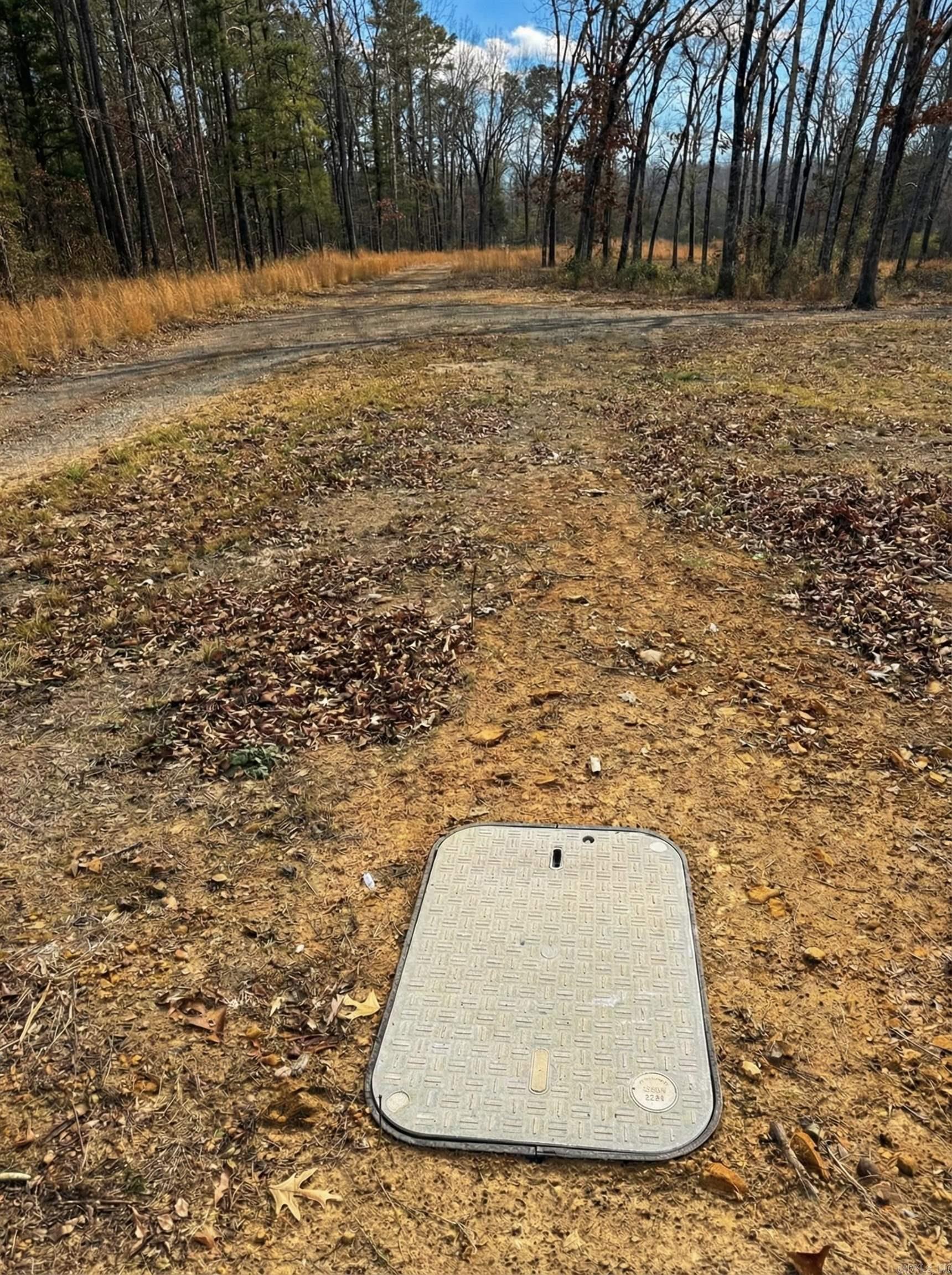 6629 Greers Ferry  Greers Ferry, AR