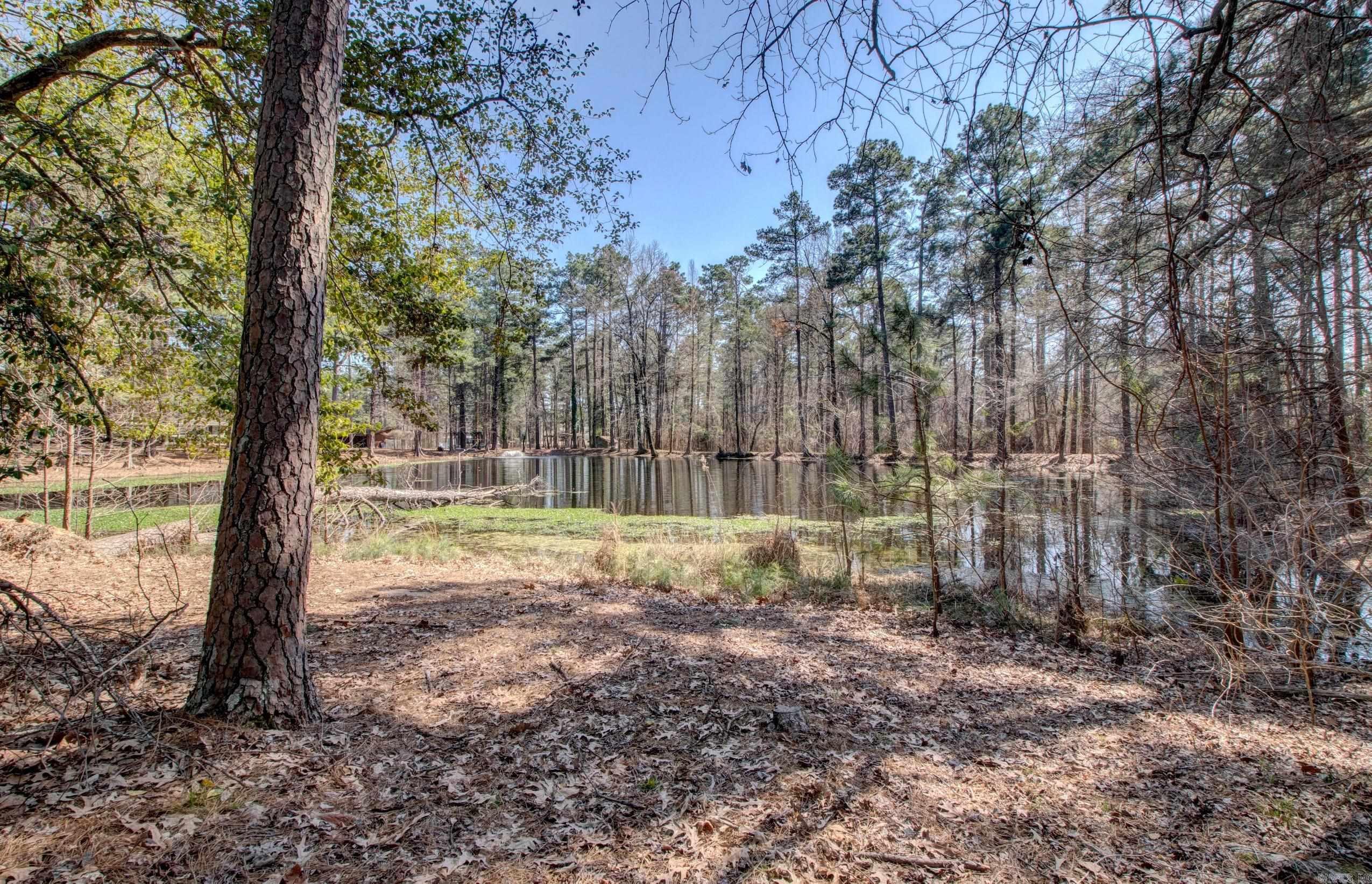 106 Pine Forest  Fordyce, AR