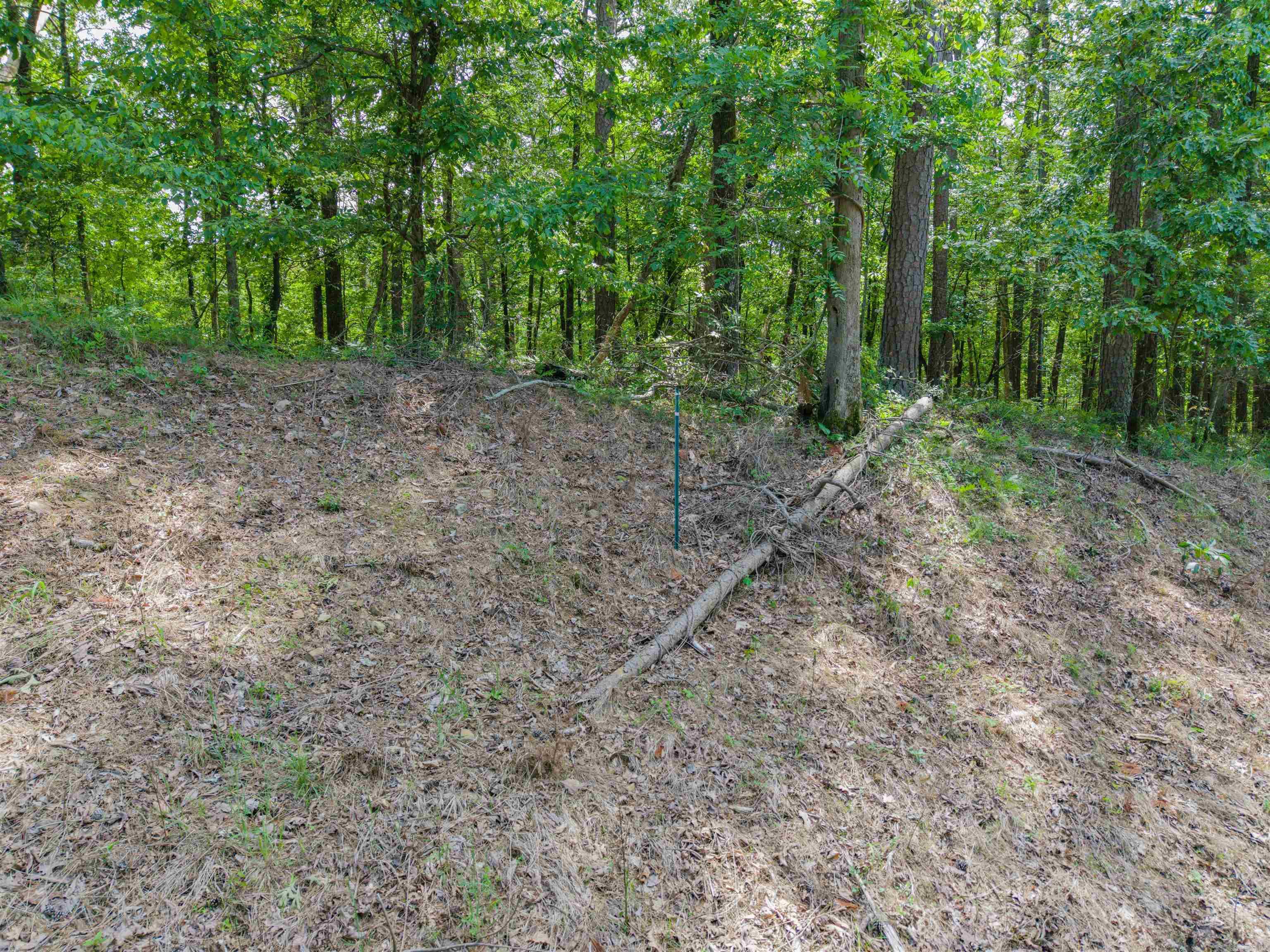 LOT 350A Independence  Hot Springs, AR