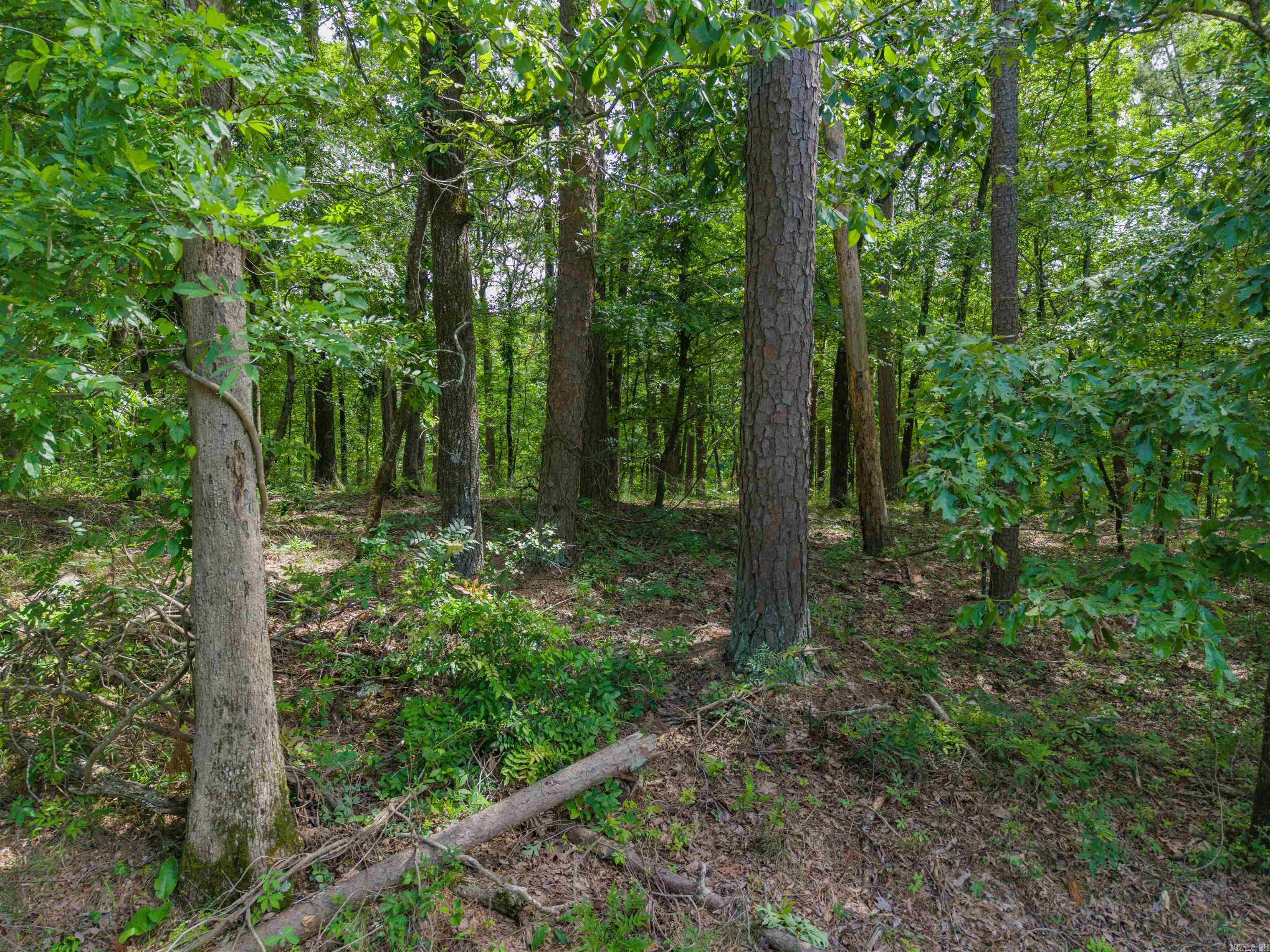LOT 350A Independence  Hot Springs, AR