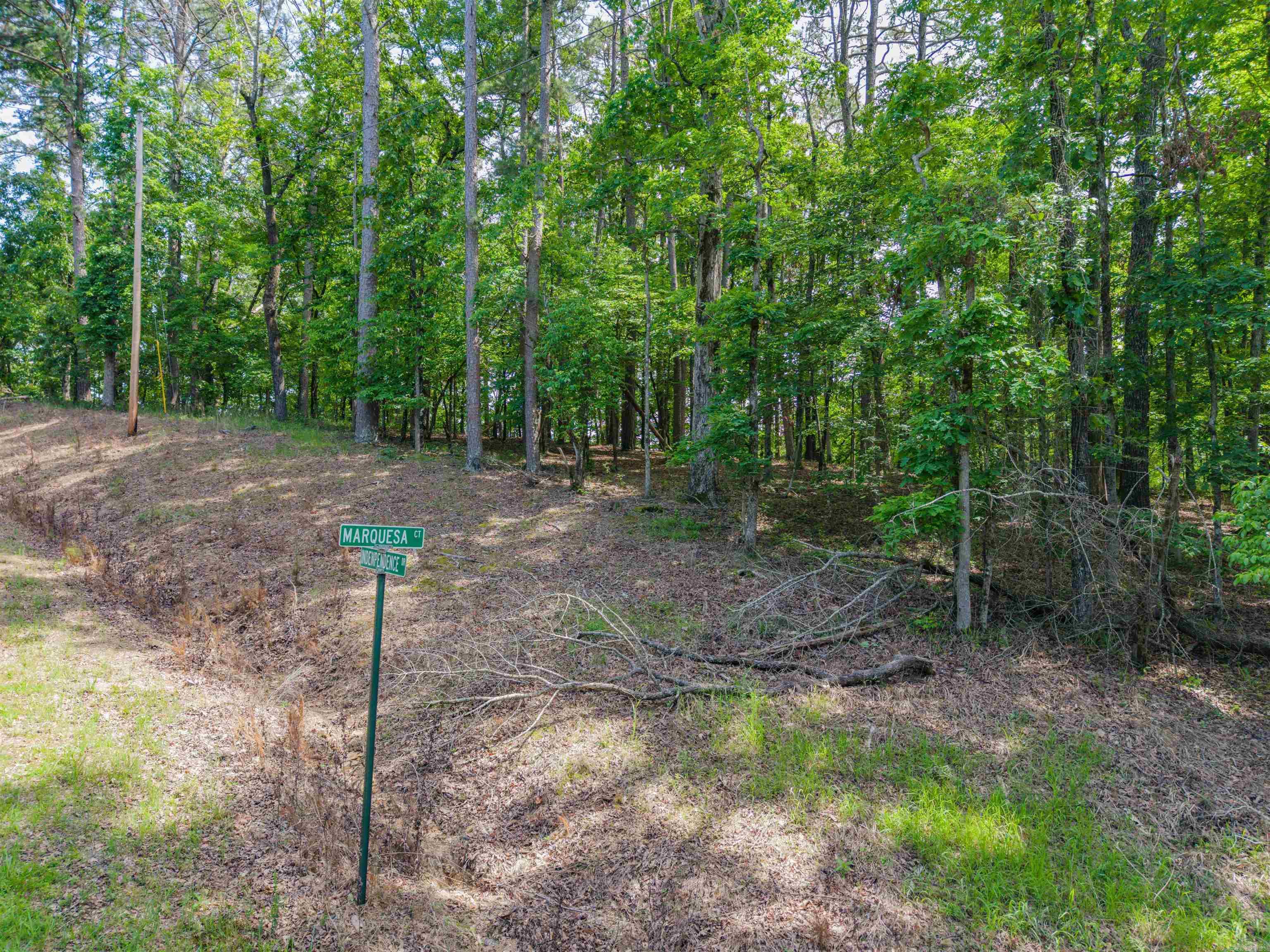 LOT 350A Independence  Hot Springs, AR