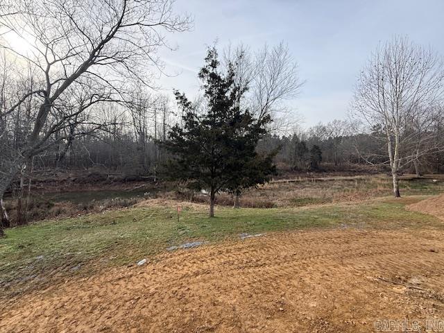 63 Wilhelmina Cove  Conway, AR