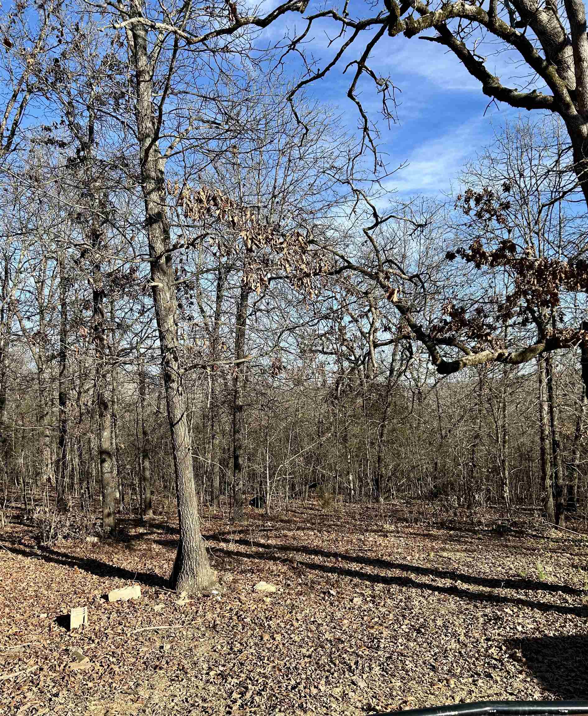 TBD Slick Rock RD  Hardy, AR