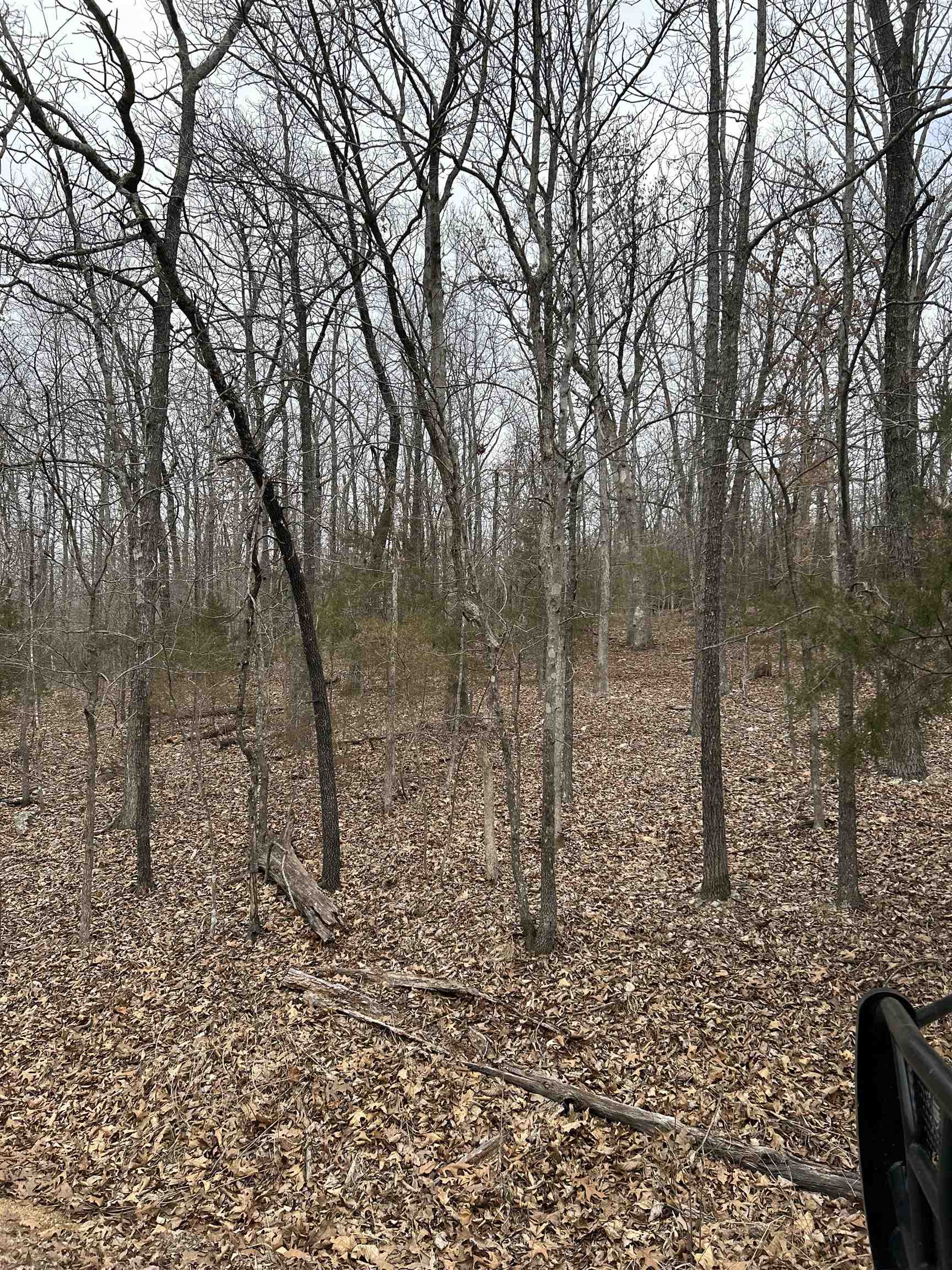 TBD Slick Rock RD  Hardy, AR