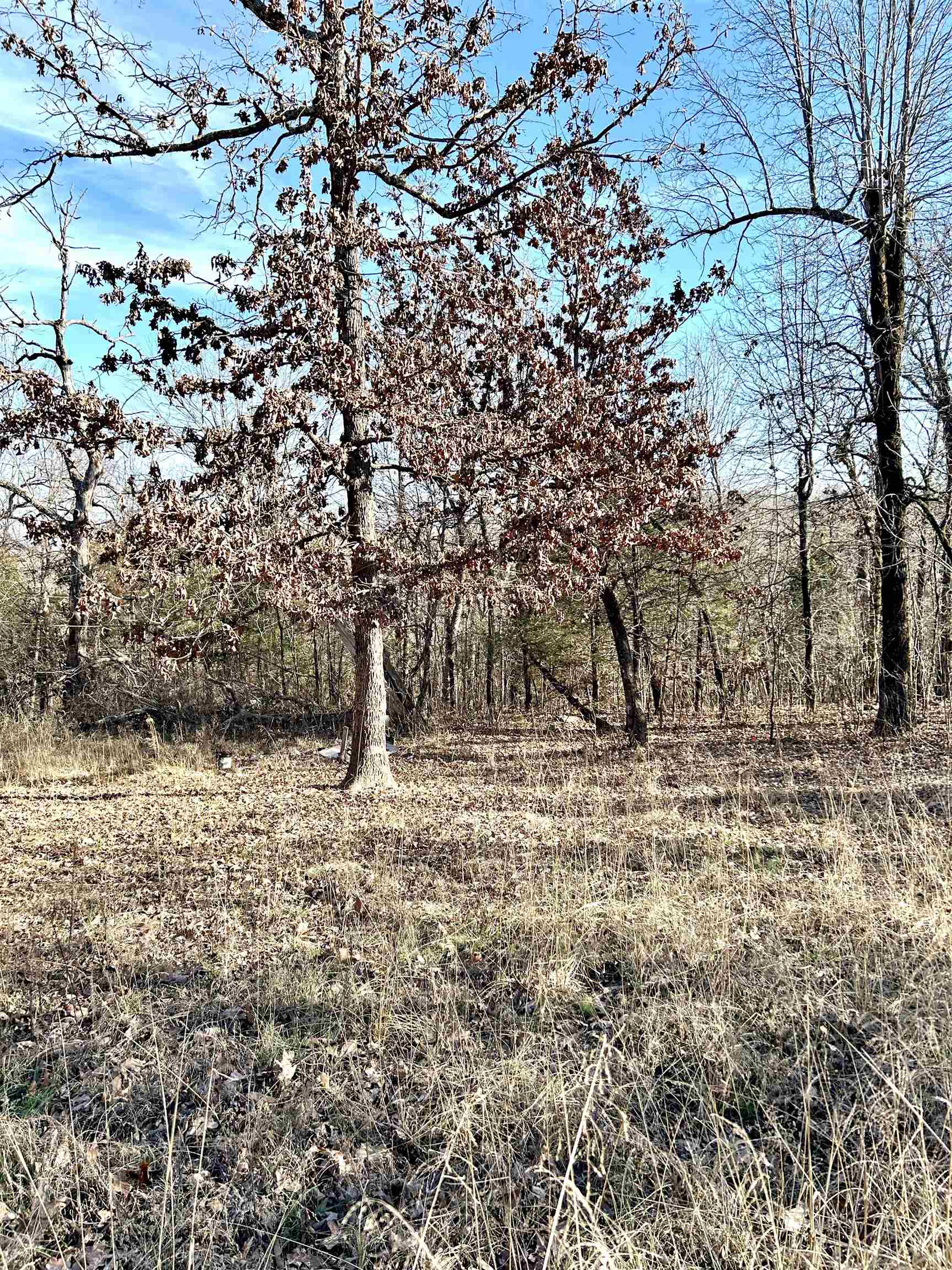 TBD Slick Rock RD  Hardy, AR