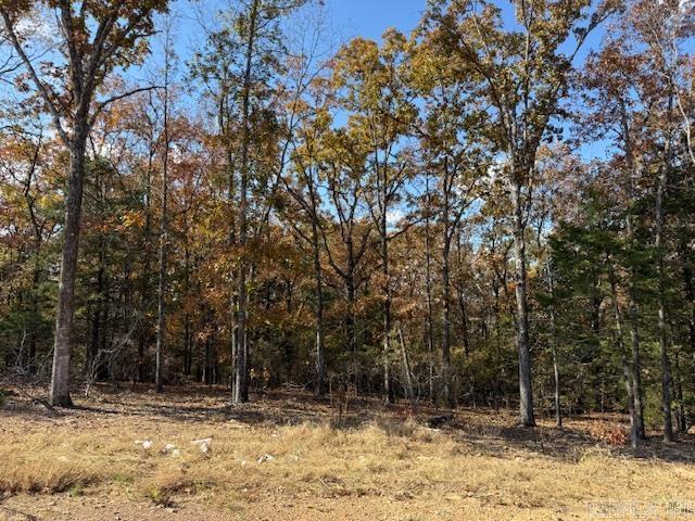 42 Summer Sky Drive  Greenbrier, AR