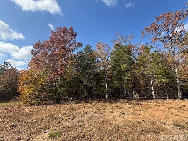 46 Summer Sky Drive  Greenbrier, AR