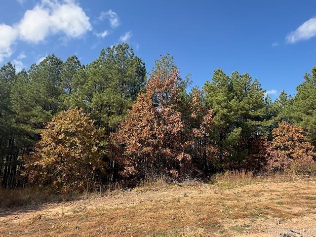 54 Summer Sky Drive  Greenbrier, AR