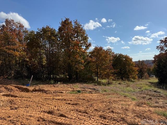 90 Summer Sky Drive  Greenbrier, AR