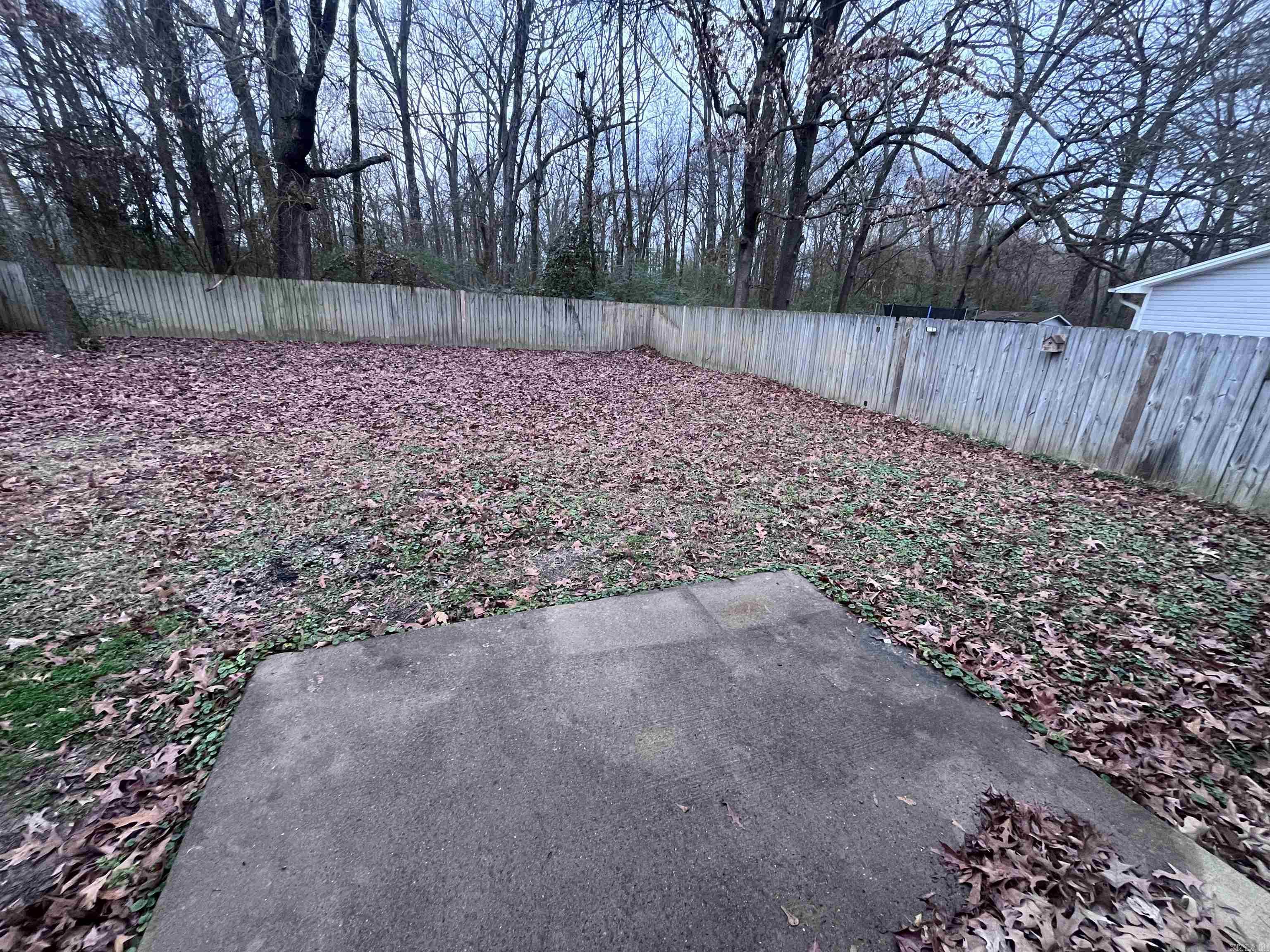 29 Mattie Lene  Ward, AR