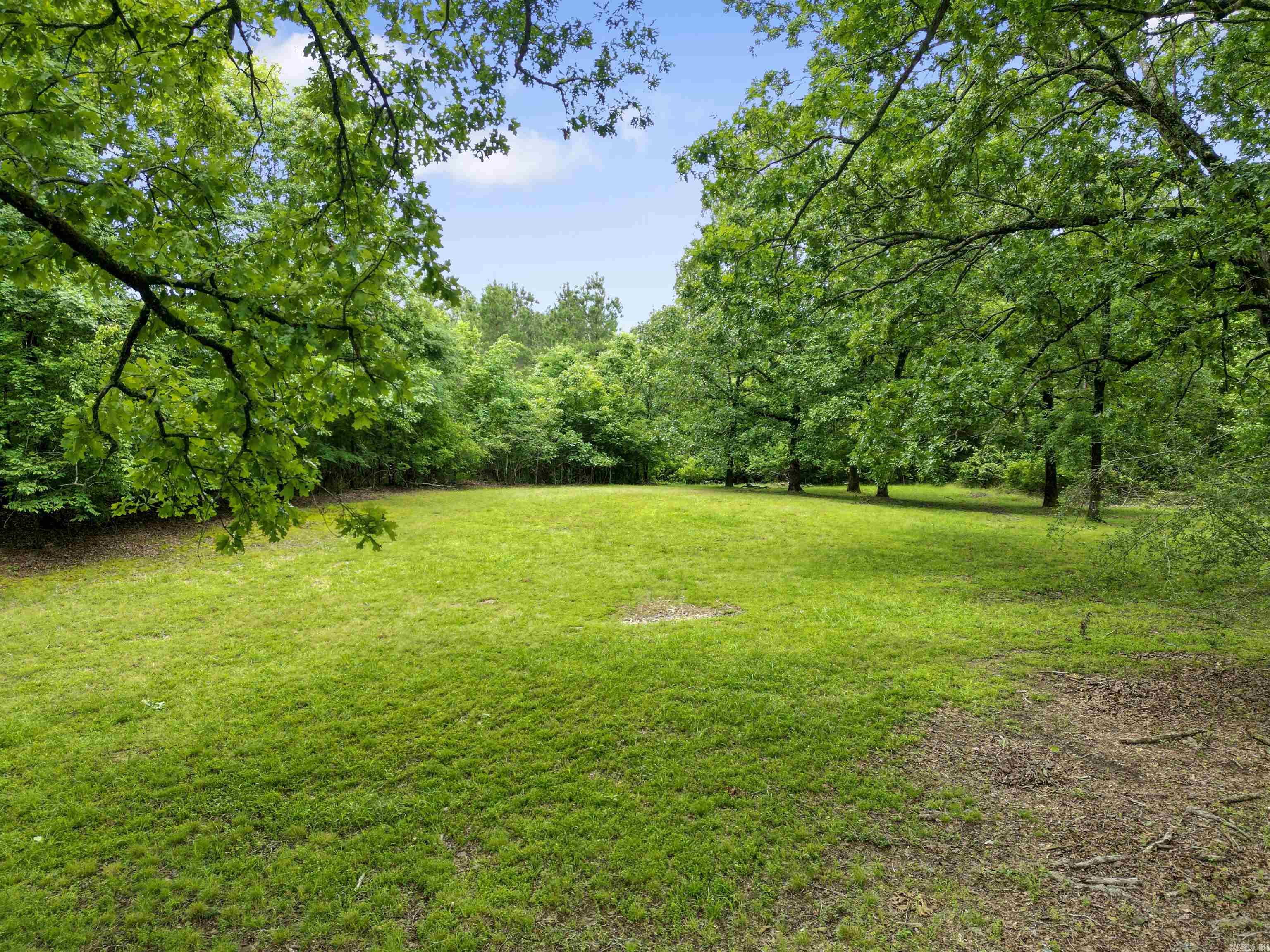 1695 Chicot Trail  Bismarck, AR