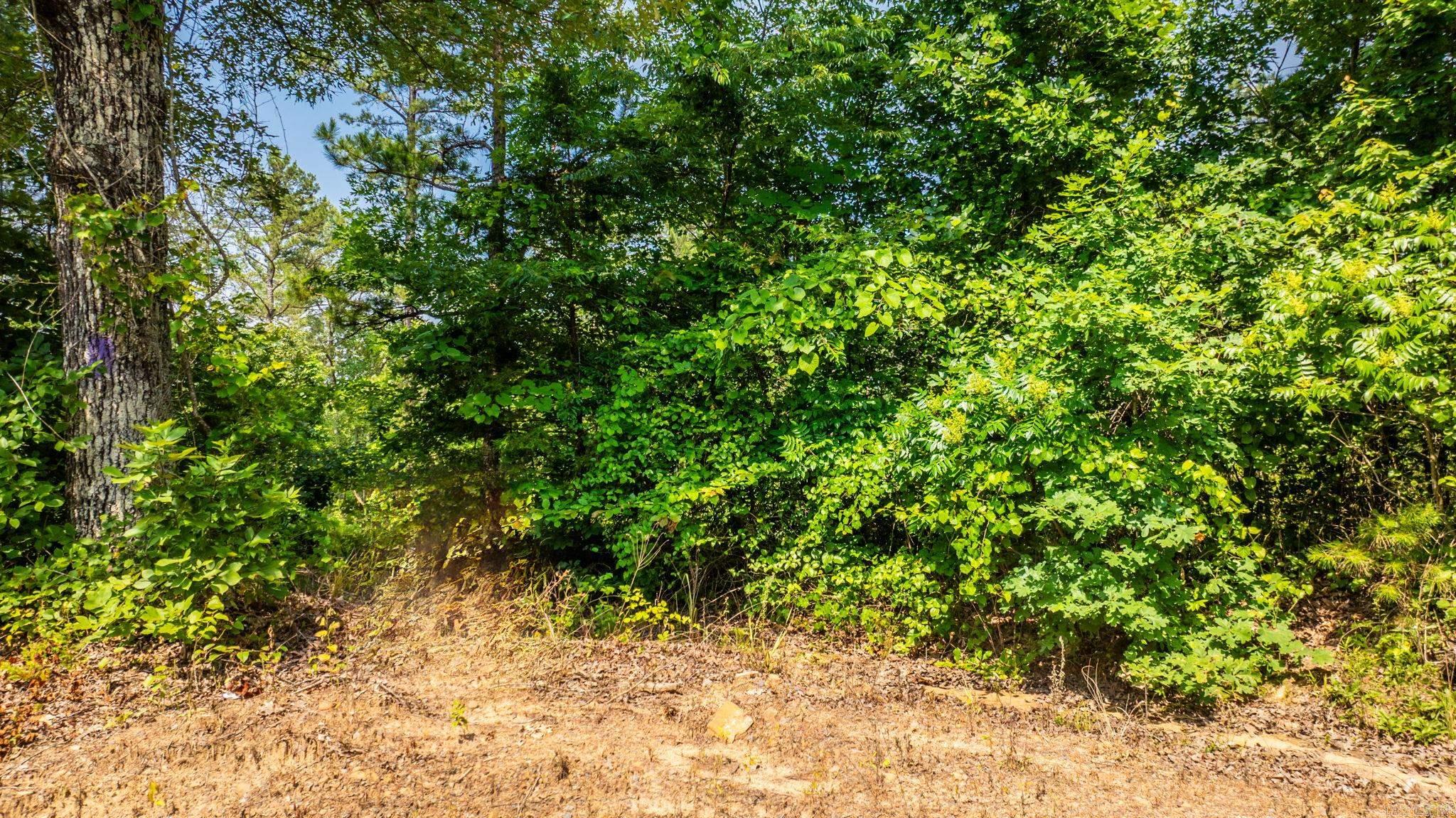 Tract 5 Harmony Mountain Road  Clinton, AR