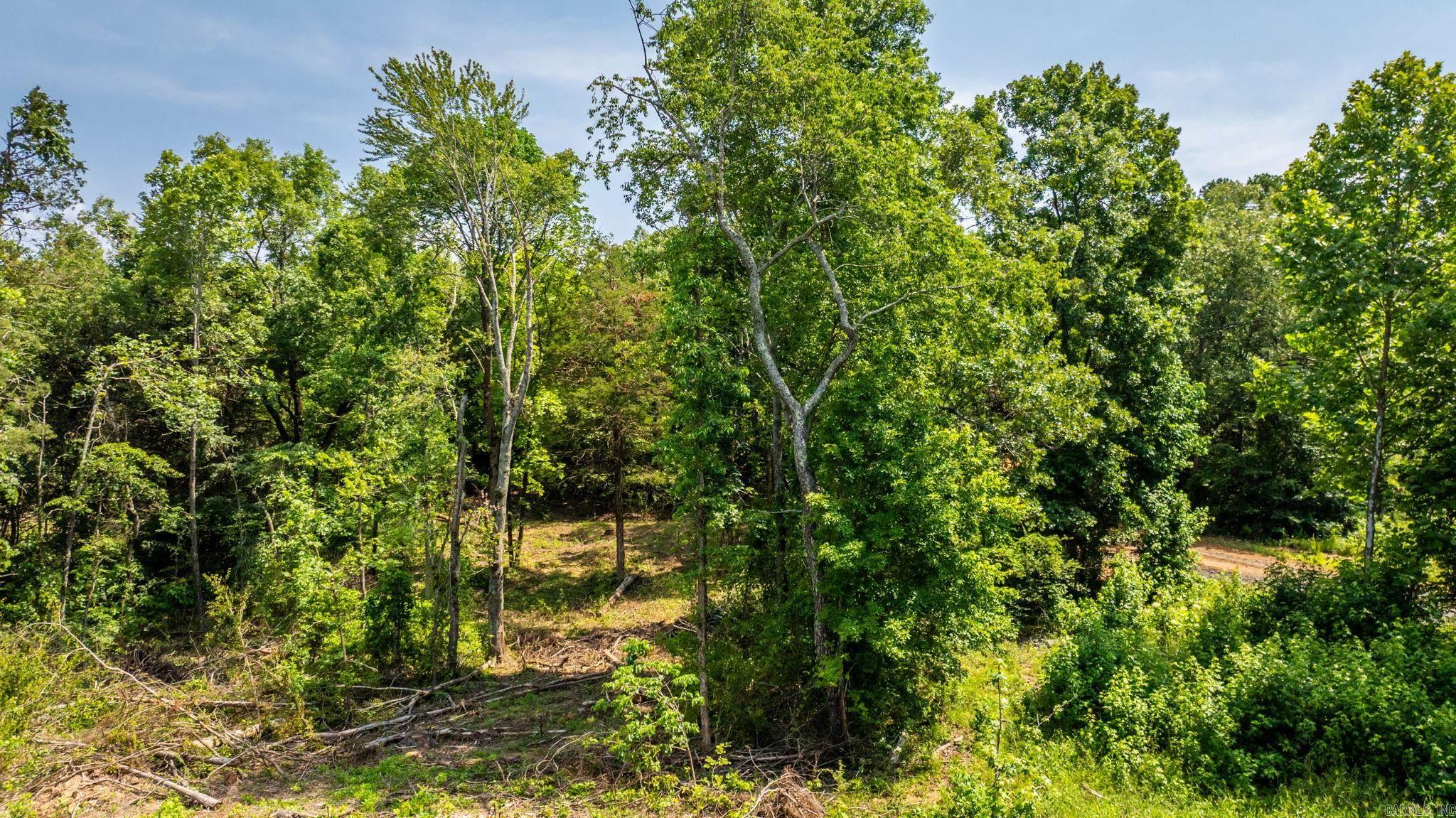 Tract 5 Harmony Mountain Road  Clinton, AR