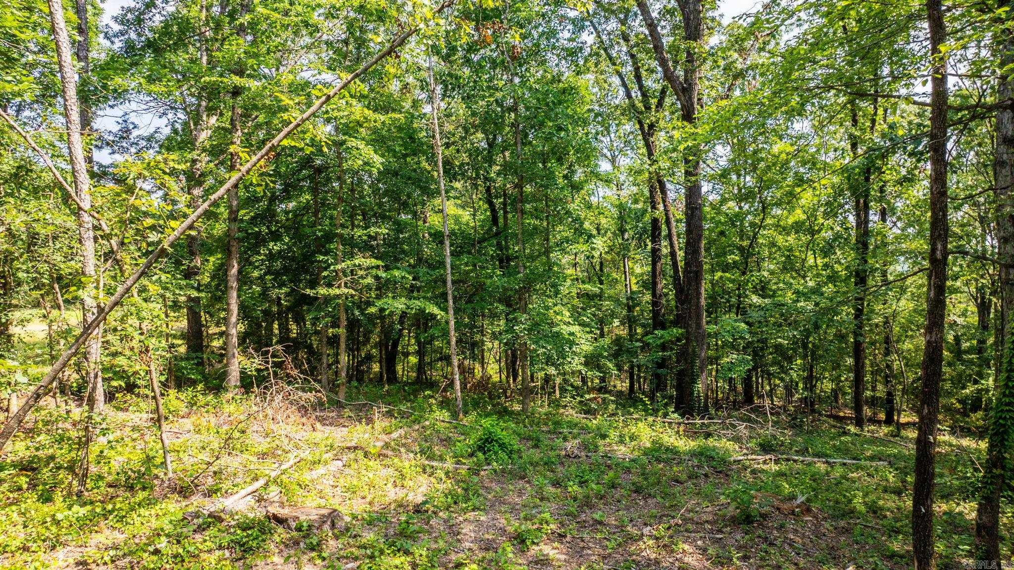 Tract 2 Harmony Mountain Road  Clinton, AR