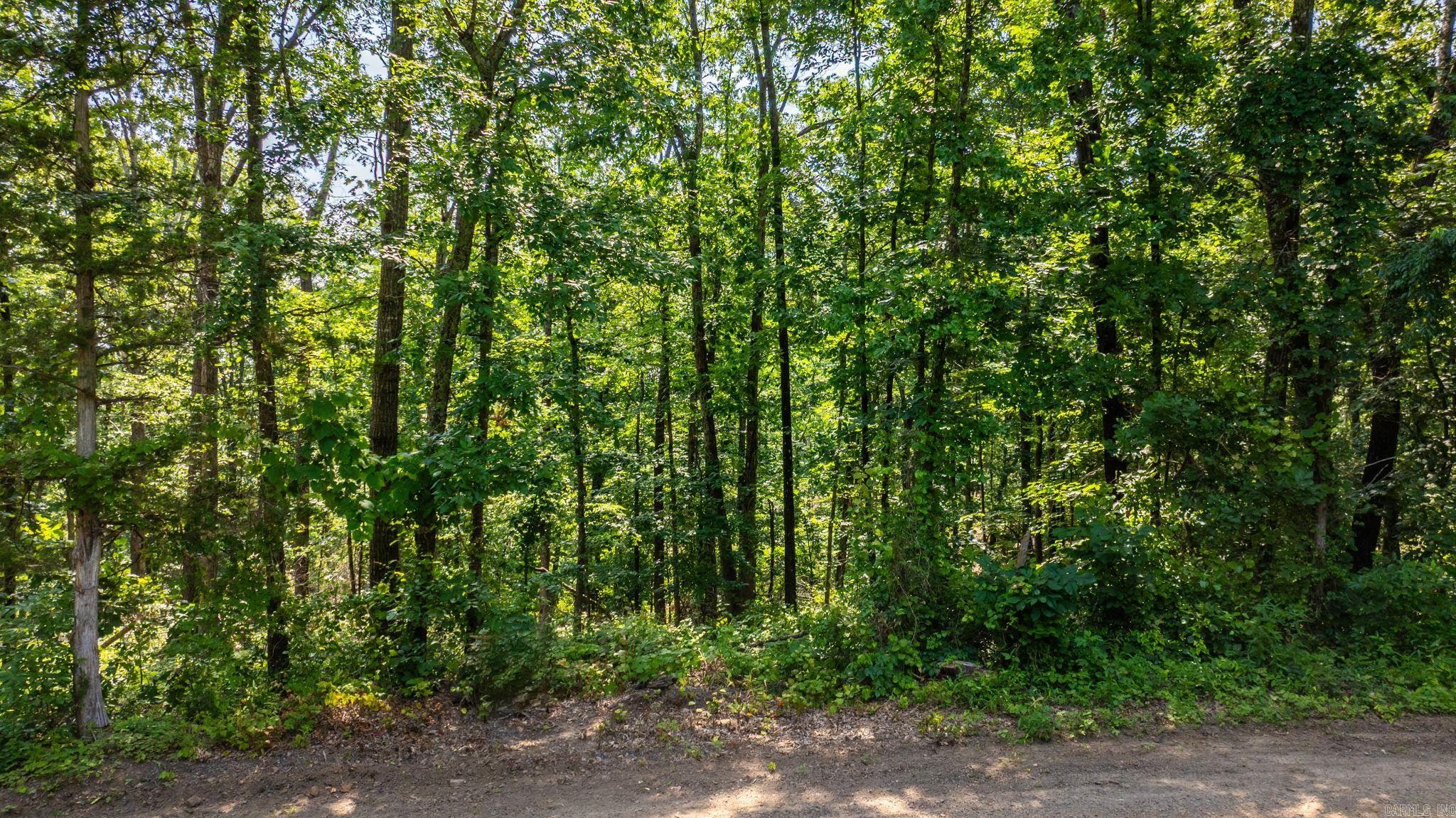 Tract 2 Harmony Mountain Road  Clinton, AR