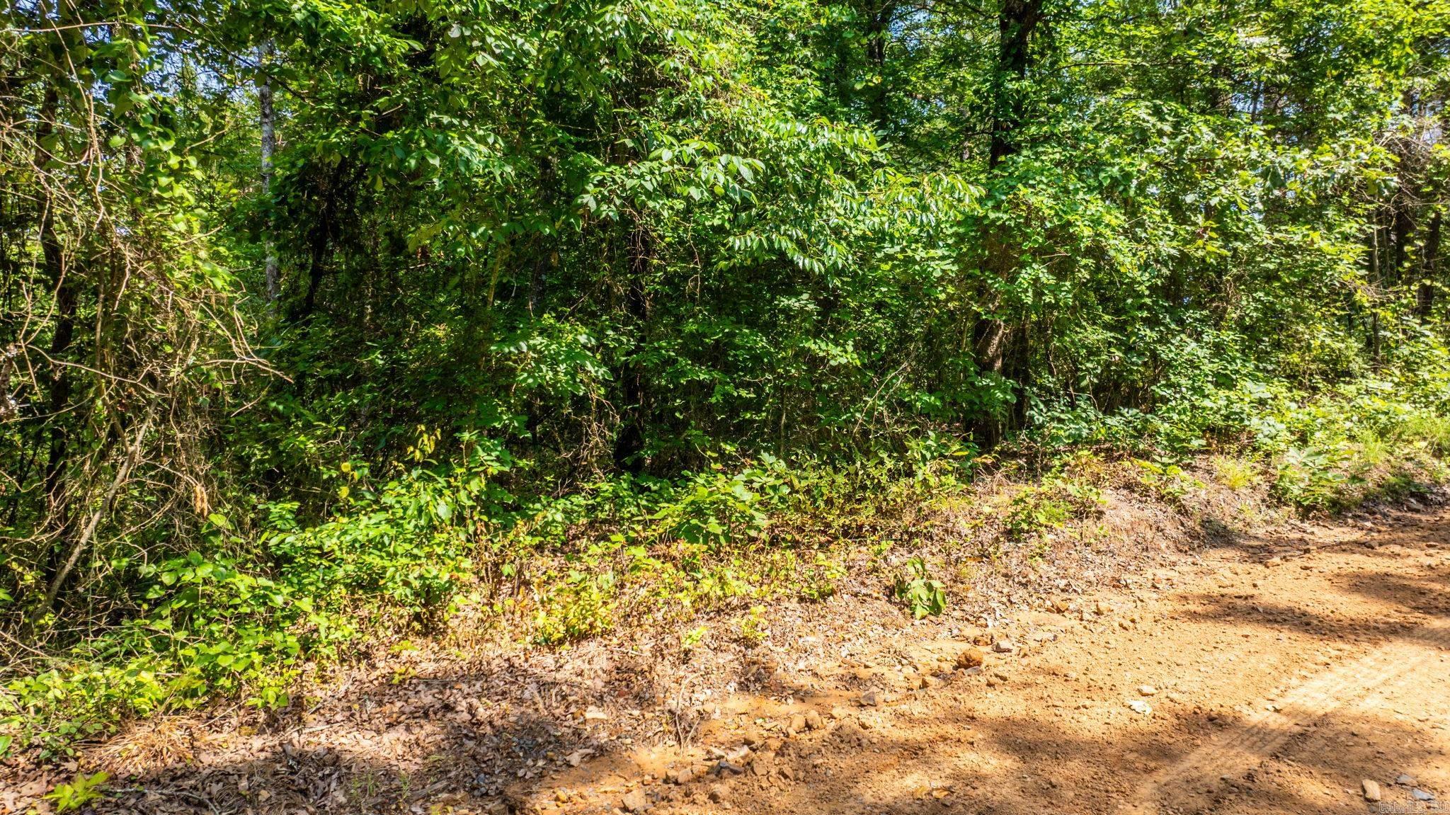 Tract 6 Harmony Mountain Road  Clinton, AR
