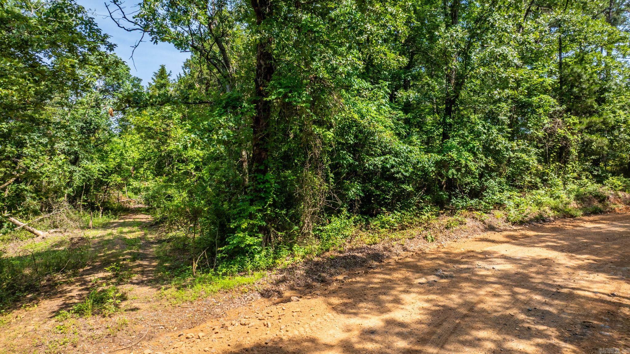 Tract 6 Harmony Mountain Road  Clinton, AR