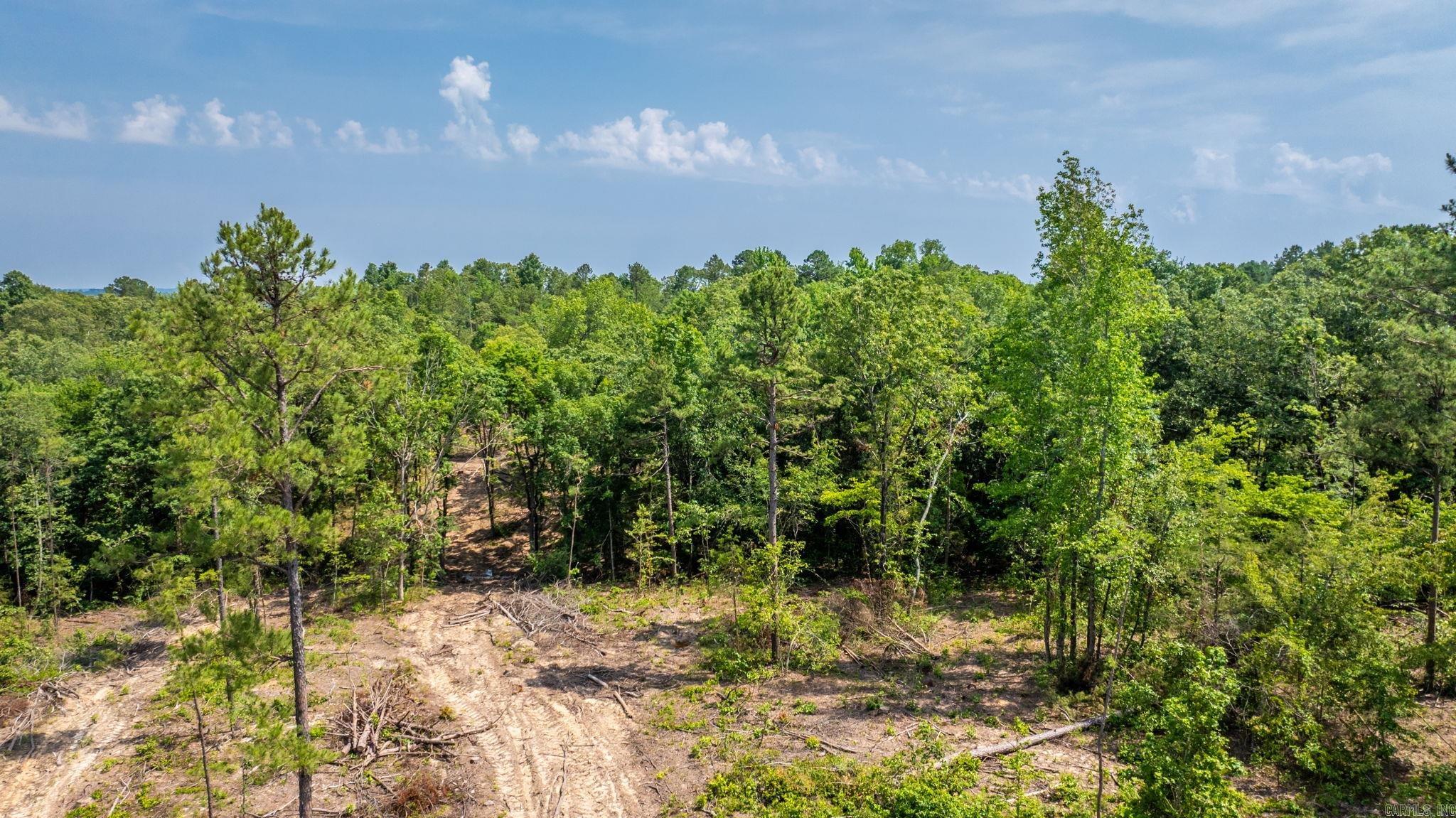 Tract 6 Harmony Mountain Road  Clinton, AR
