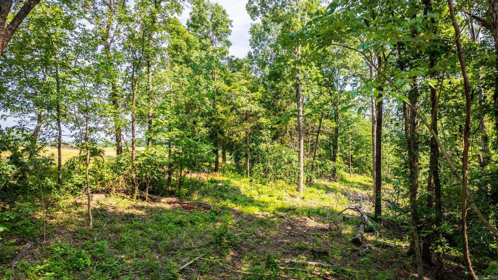 Tract 1 Harmony Mountain Road  Clinton, AR