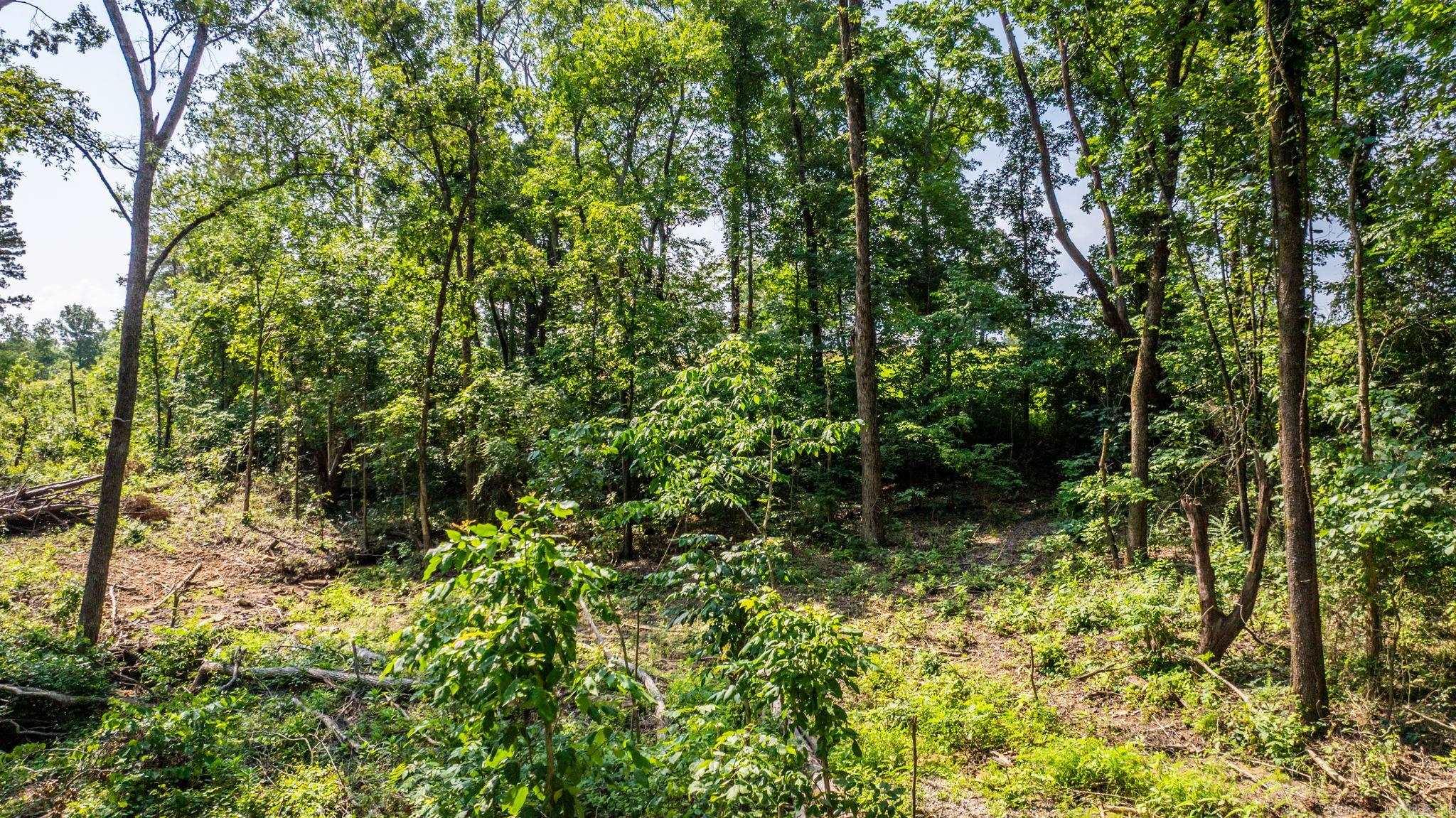 Tract 1 Harmony Mountain Road  Clinton, AR