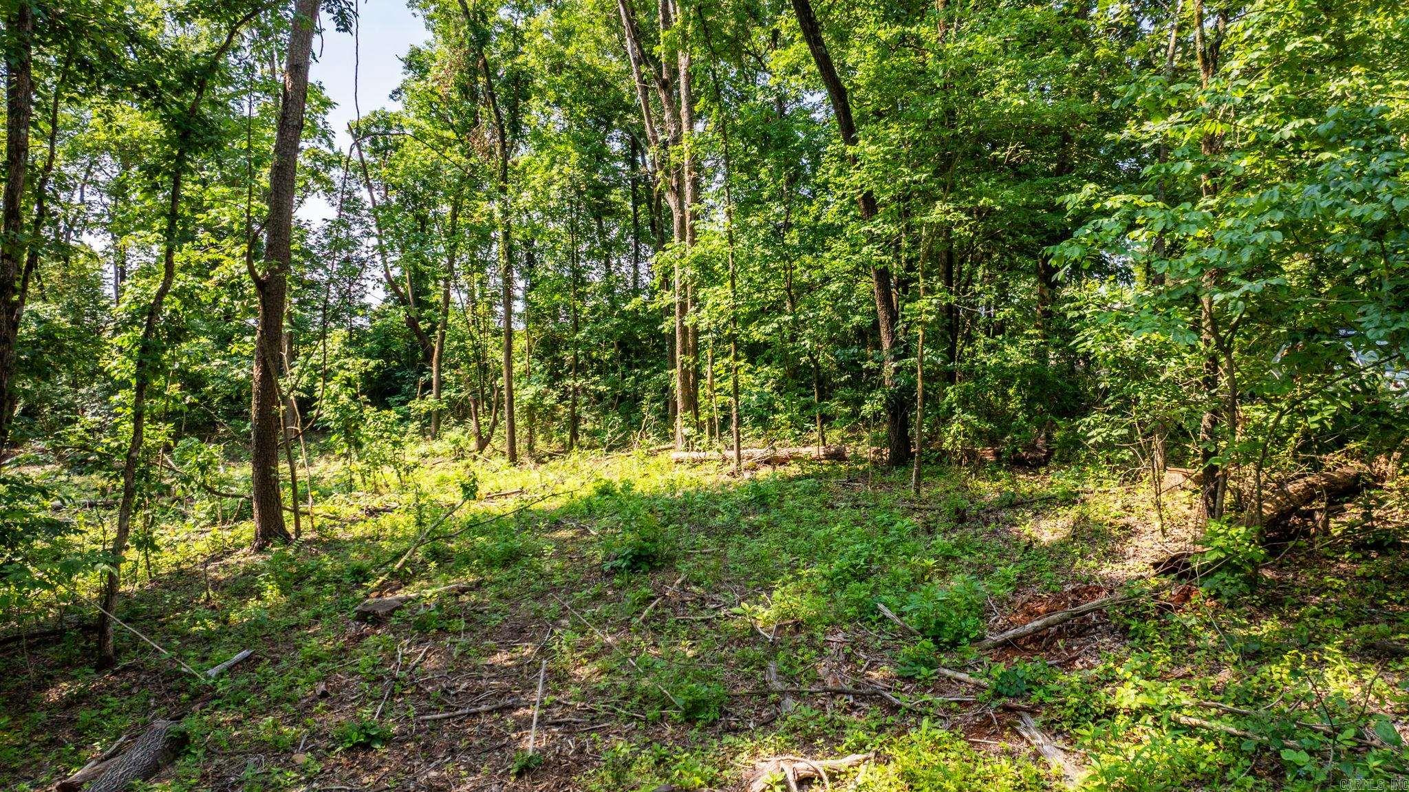 Tract 1 Harmony Mountain Road  Clinton, AR