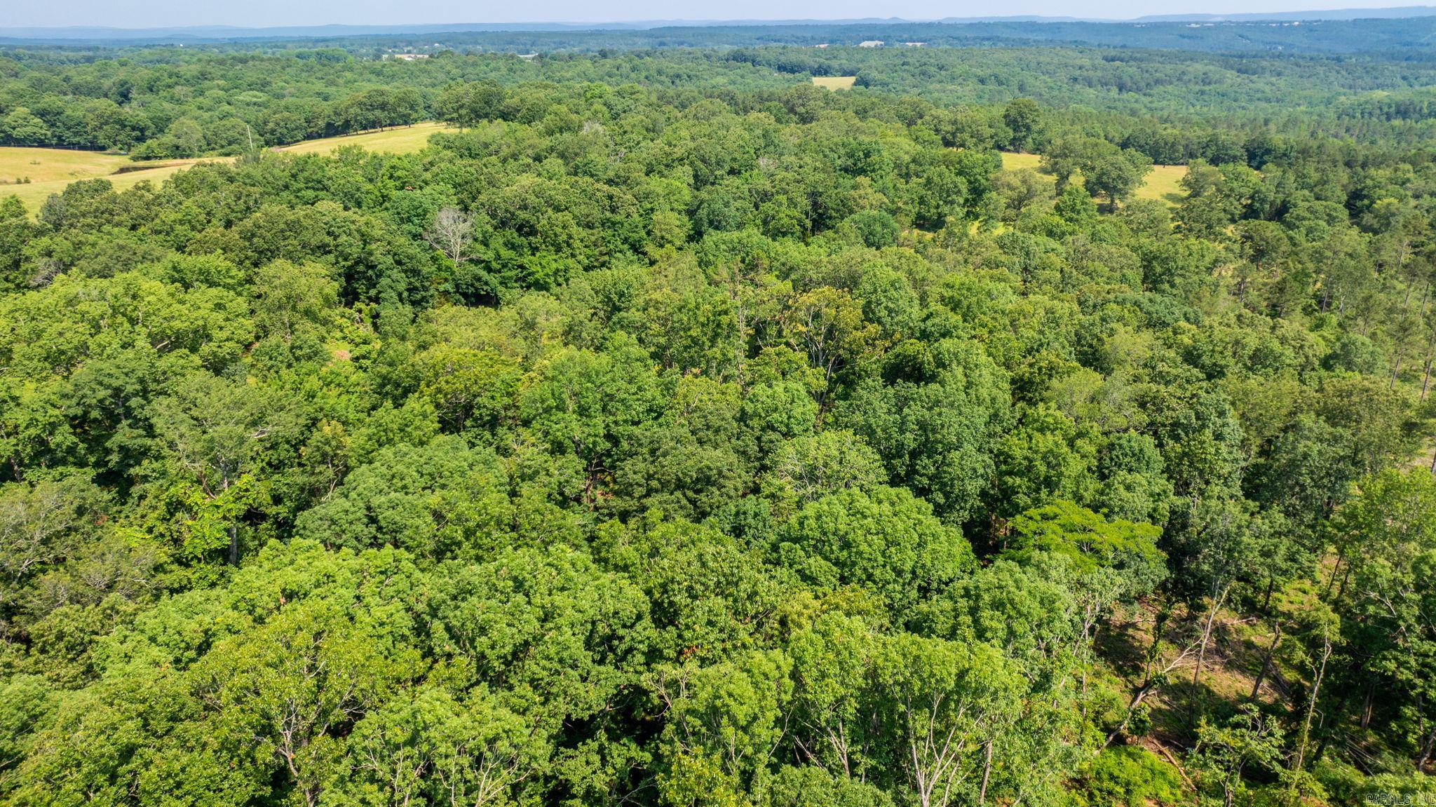 Tract 1 Harmony Mountain Road  Clinton, AR