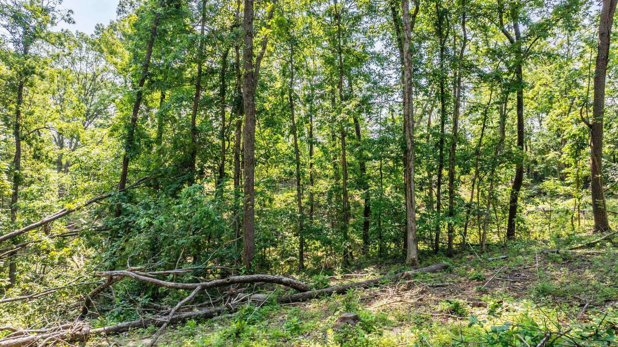 Tract 1 Harmony Mountain Road  Clinton, AR