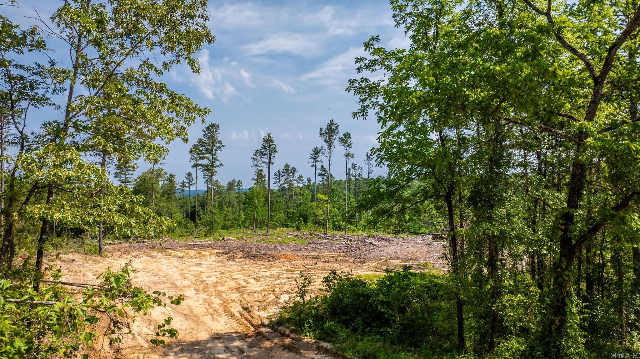 Tract 3 Harmony Mountain Road  Clinton, AR