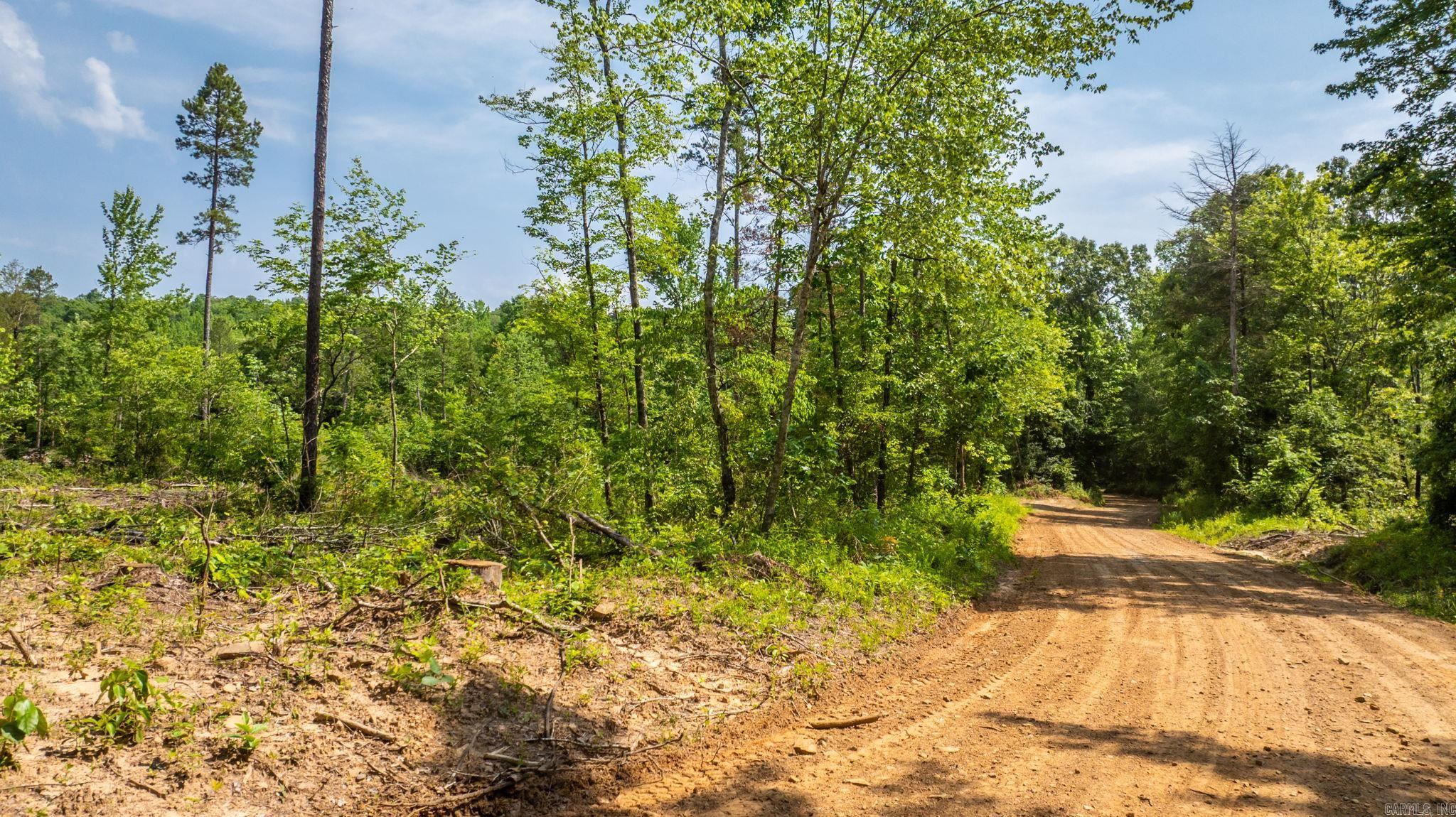 Tract 3 Harmony Mountain Road  Clinton, AR