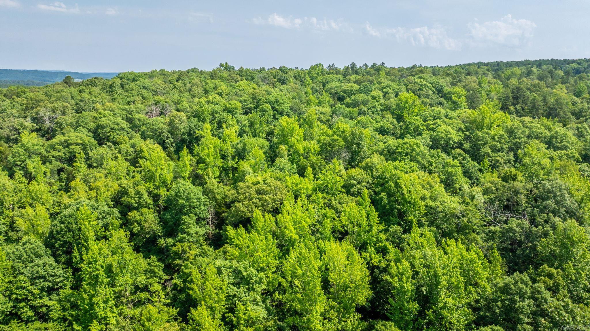 Tract 3 Harmony Mountain Road  Clinton, AR