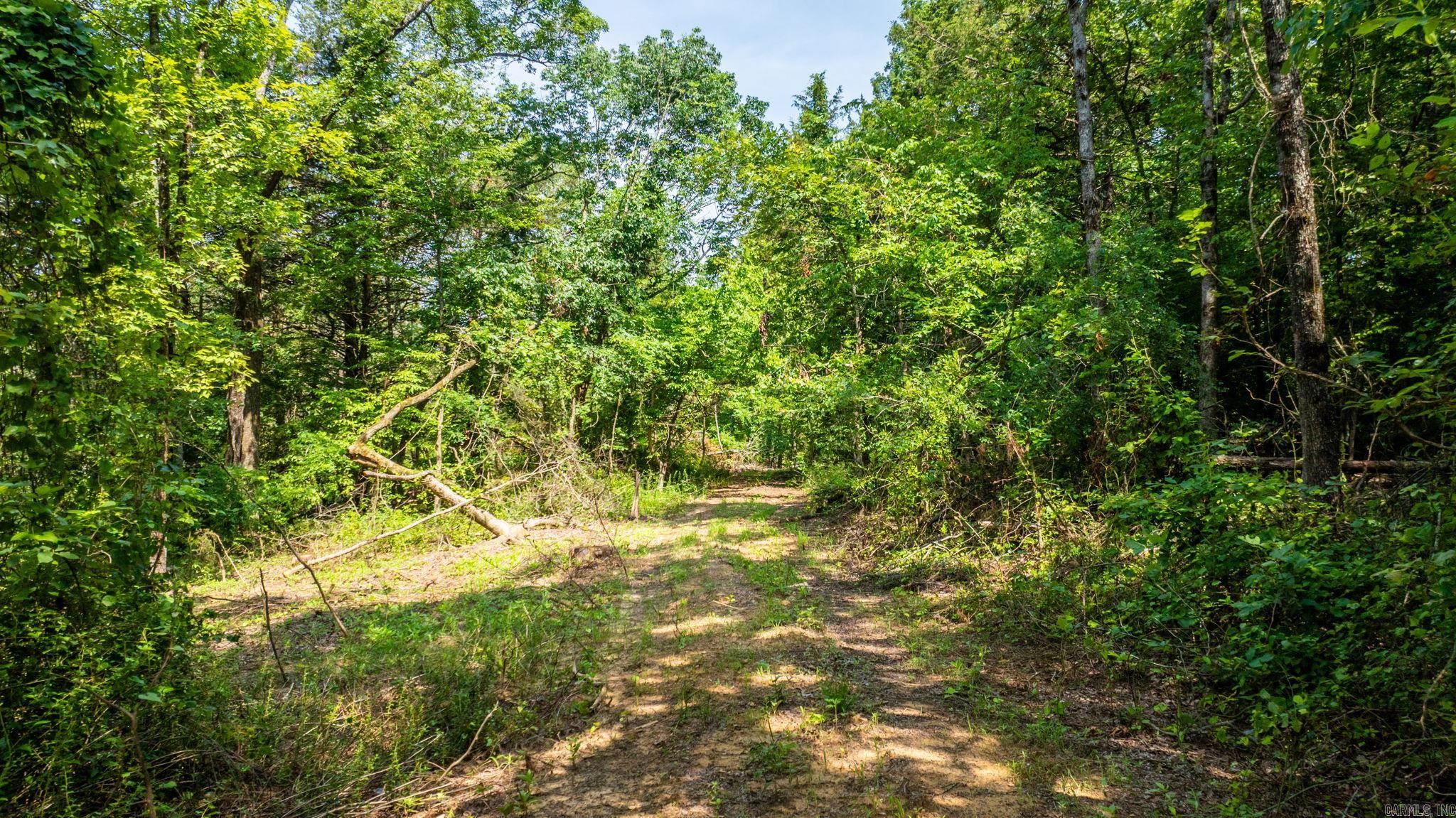 Tract 8 Harmony Mountain Road  Clinton, AR