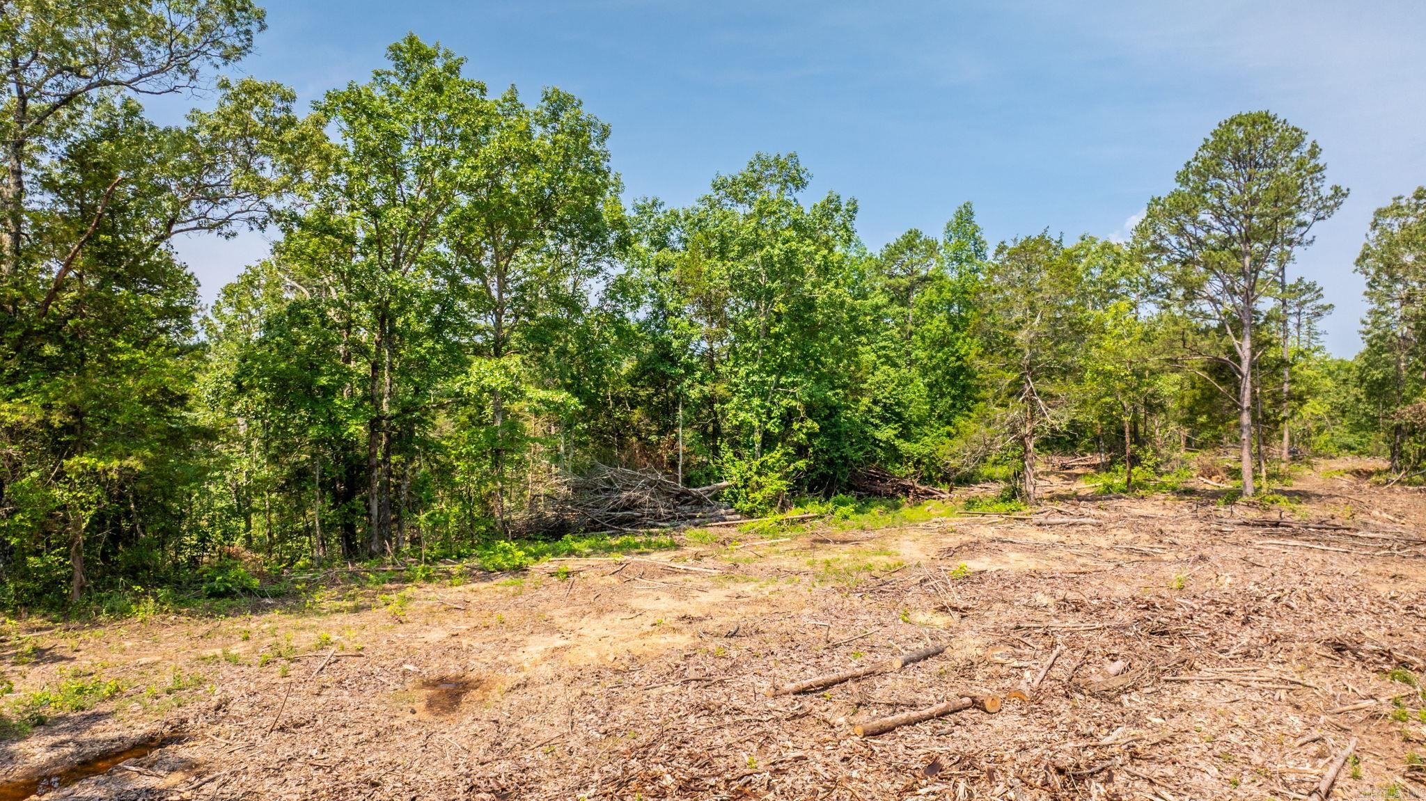 Tract 8 Harmony Mountain Road  Clinton, AR