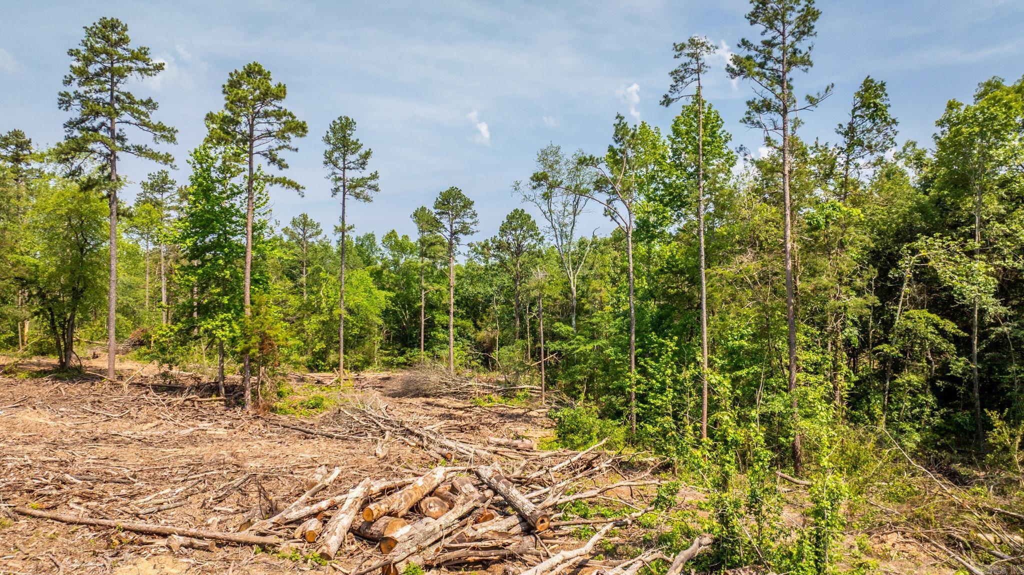 Tract 8 Harmony Mountain Road  Clinton, AR