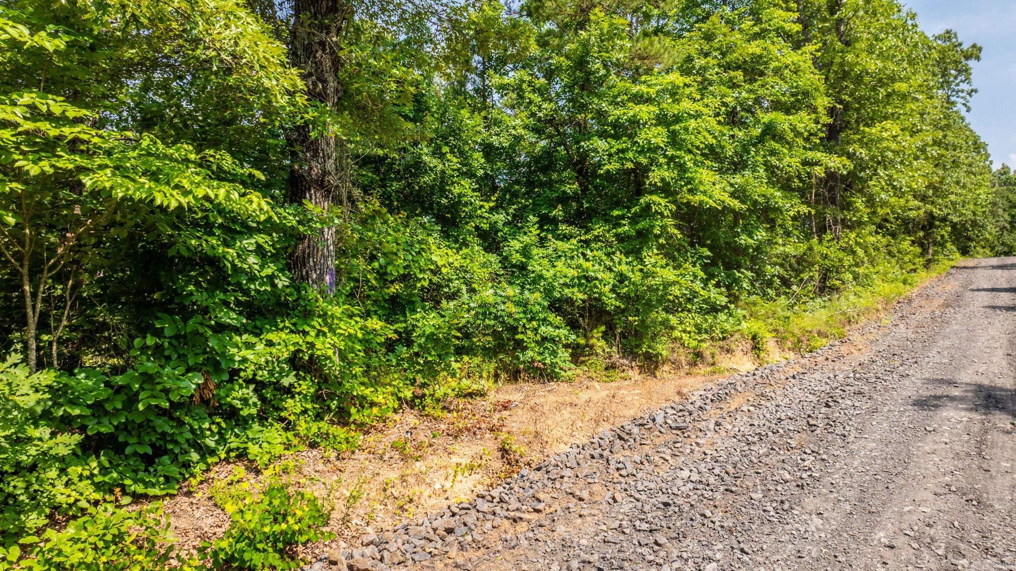 Tract 8 Harmony Mountain Road  Clinton, AR