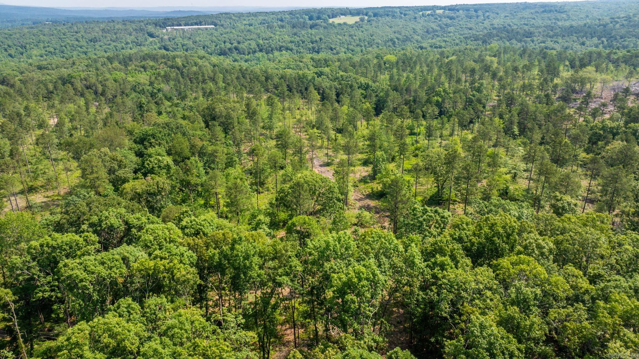 Tract 10 Harmony Mountain Road  Clinton, AR