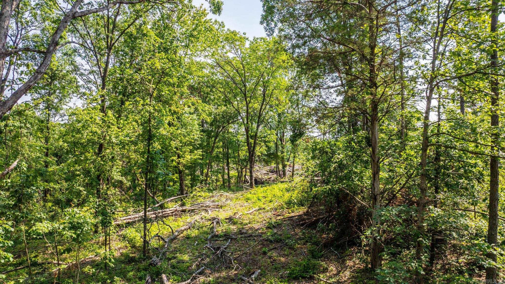 Tract 10 Harmony Mountain Road  Clinton, AR